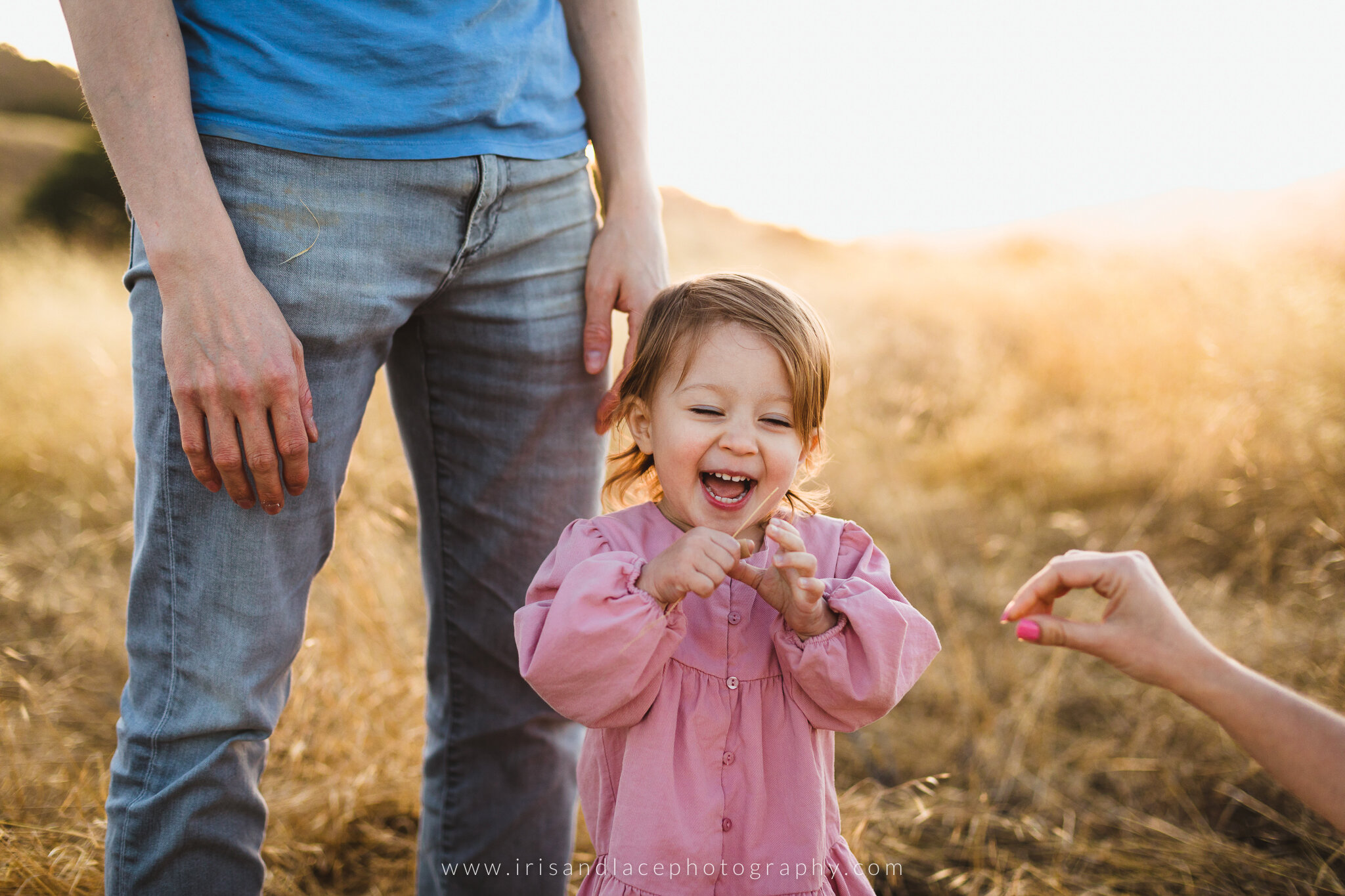 Family Photos in San Jose, CA |  Iris and Lace Photography