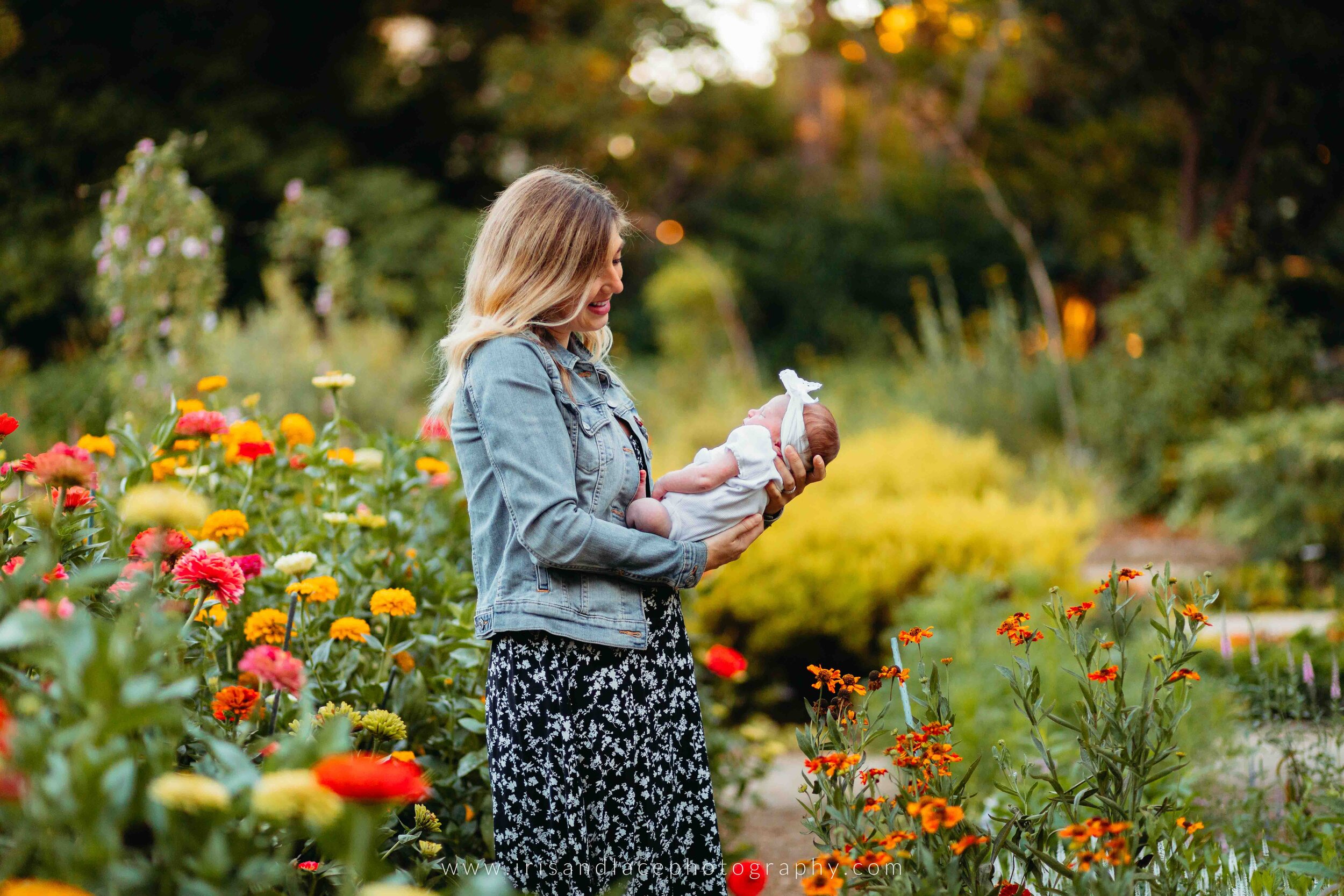 Palo Alto Newborn Photographer  |  Iris and Lace Photography  |   Gamble Gardens 