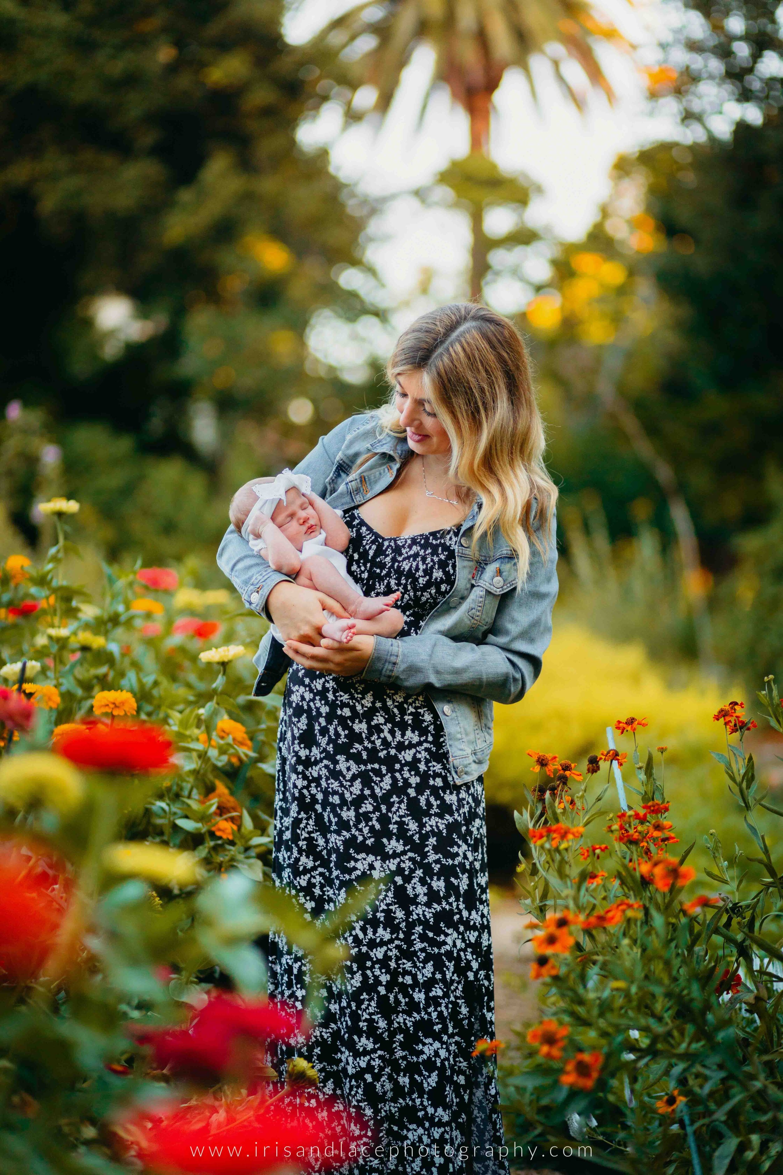 Palo Alto Newborn Photographer  |  Iris and Lace Photography  |   Gamble Gardens 