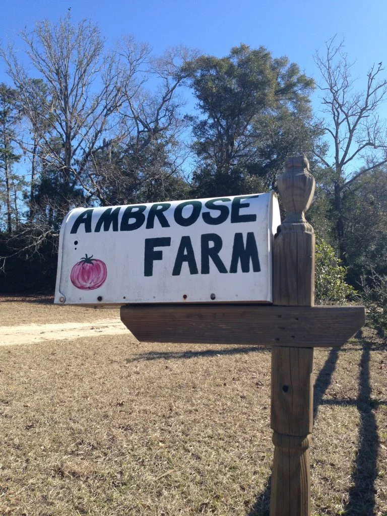 AMBROSE-FARMS-2-e1423074672718-768x1024.jpg