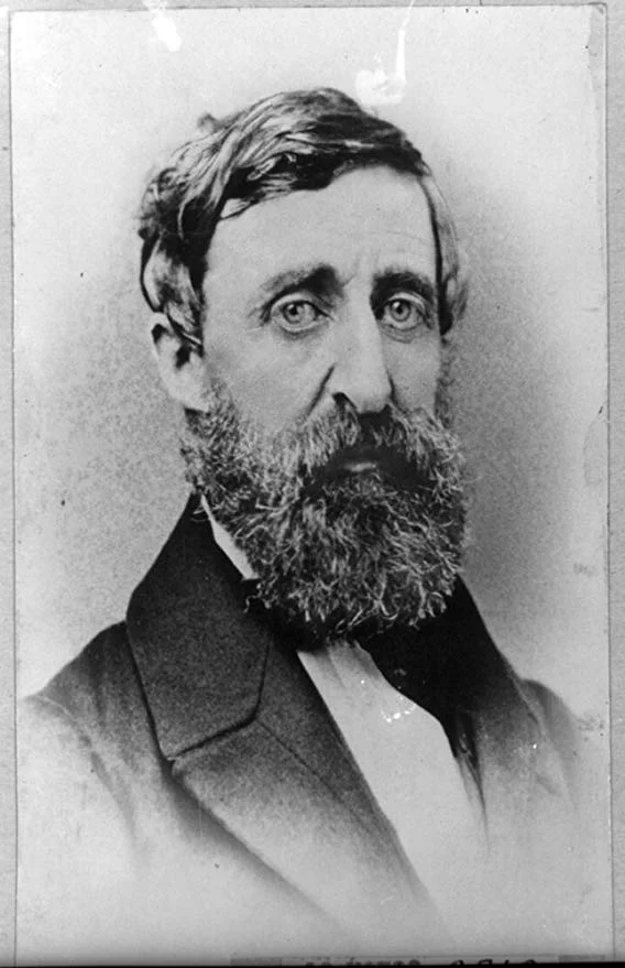 thoreau.jpg