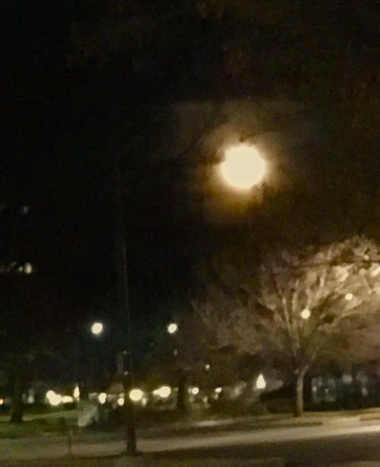 waningwolfmoon012519.jpg