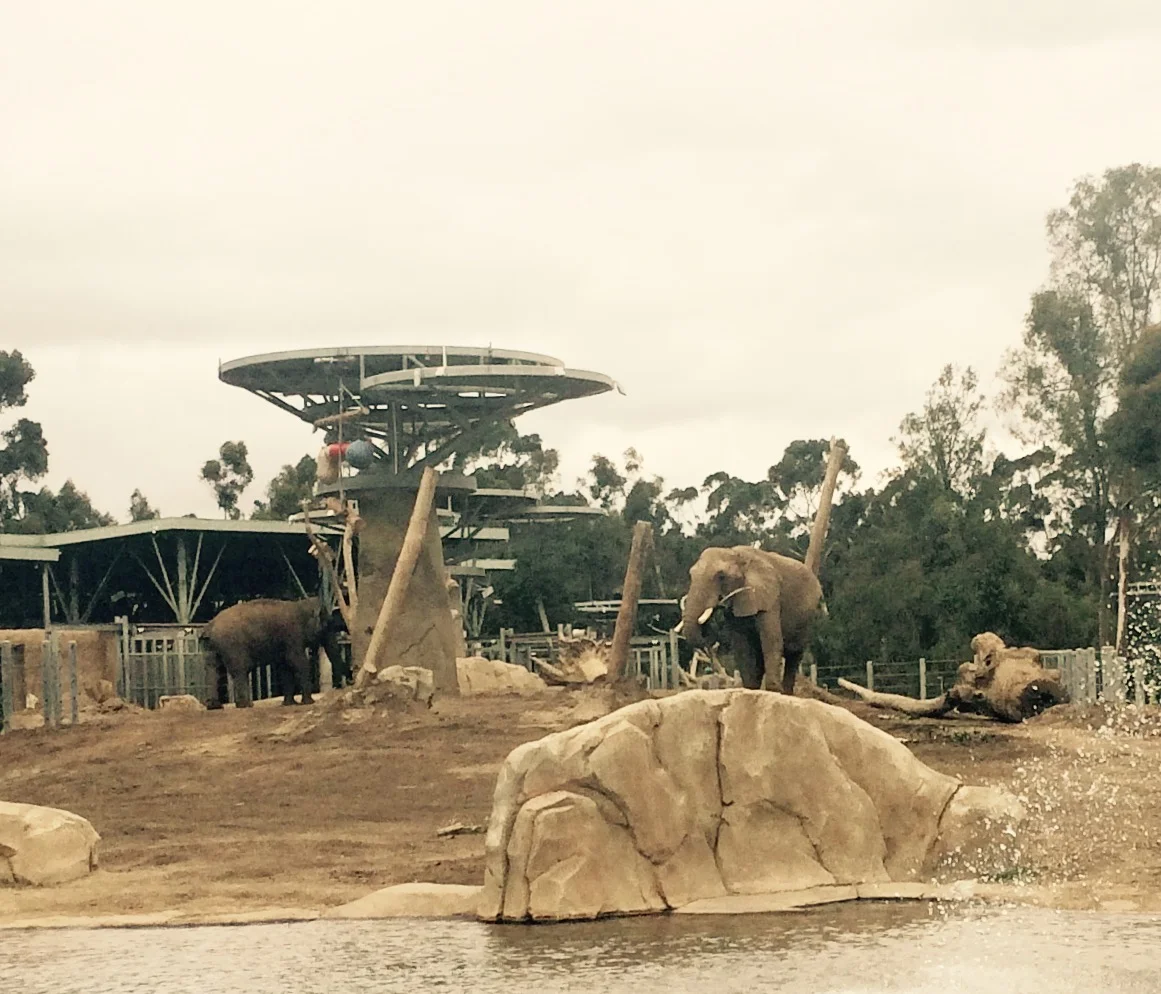 San Diego Zoo