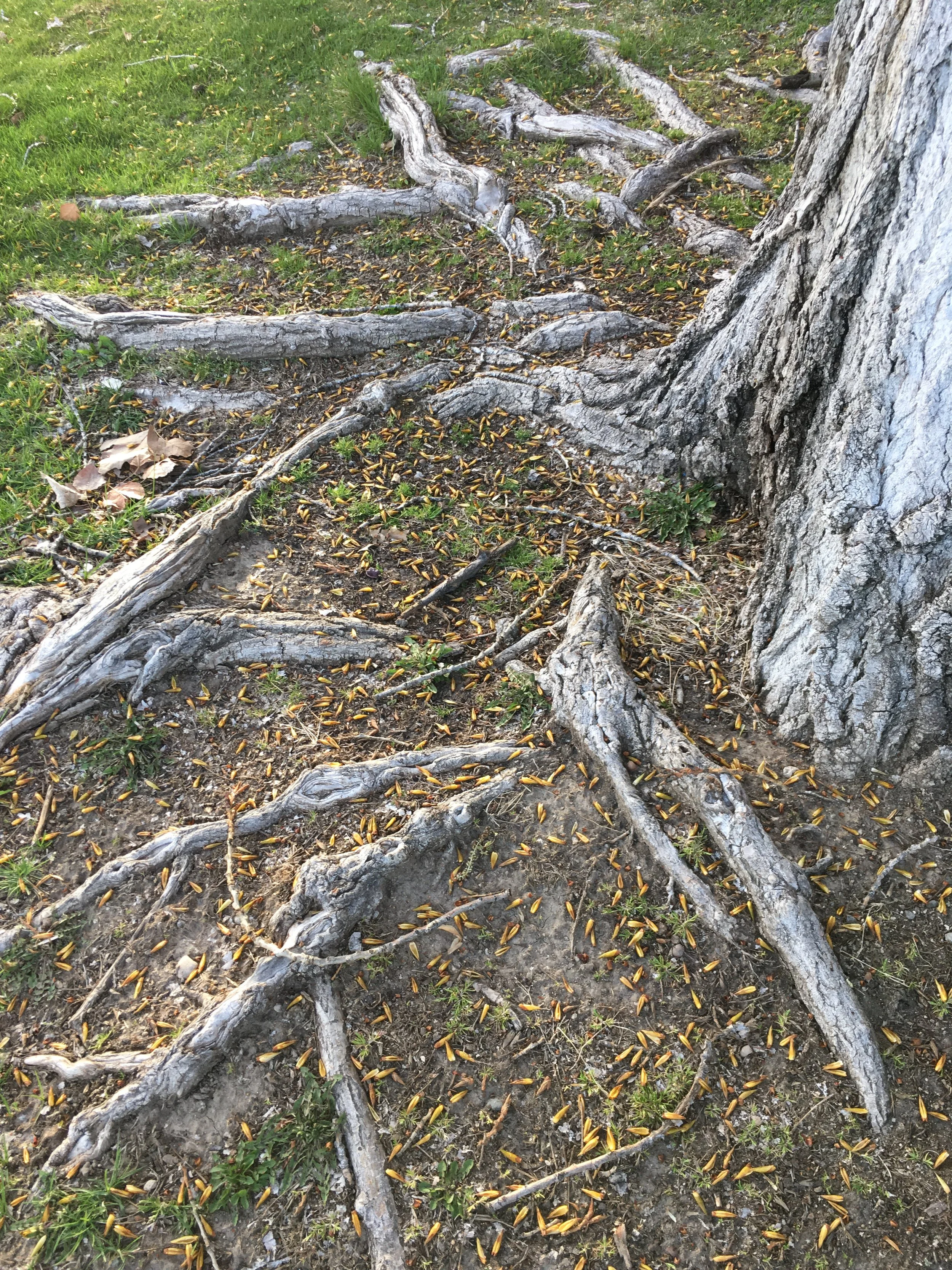 2019-03-31 18.59.25.jpg