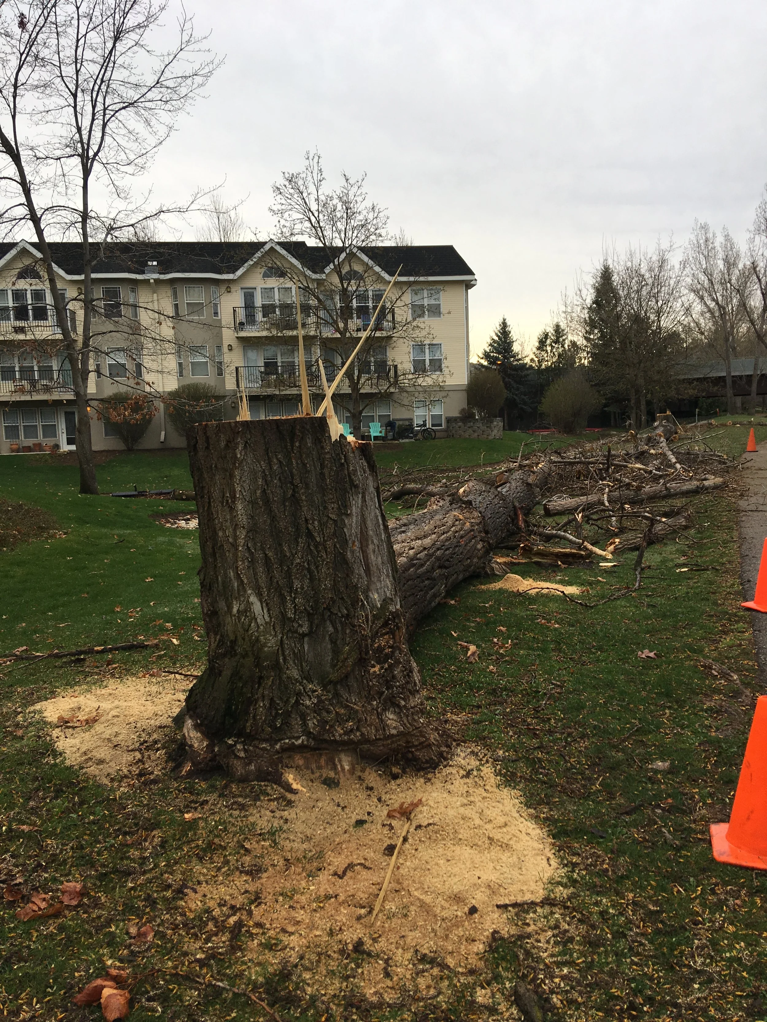 2019-04-06 08.22.41.jpg