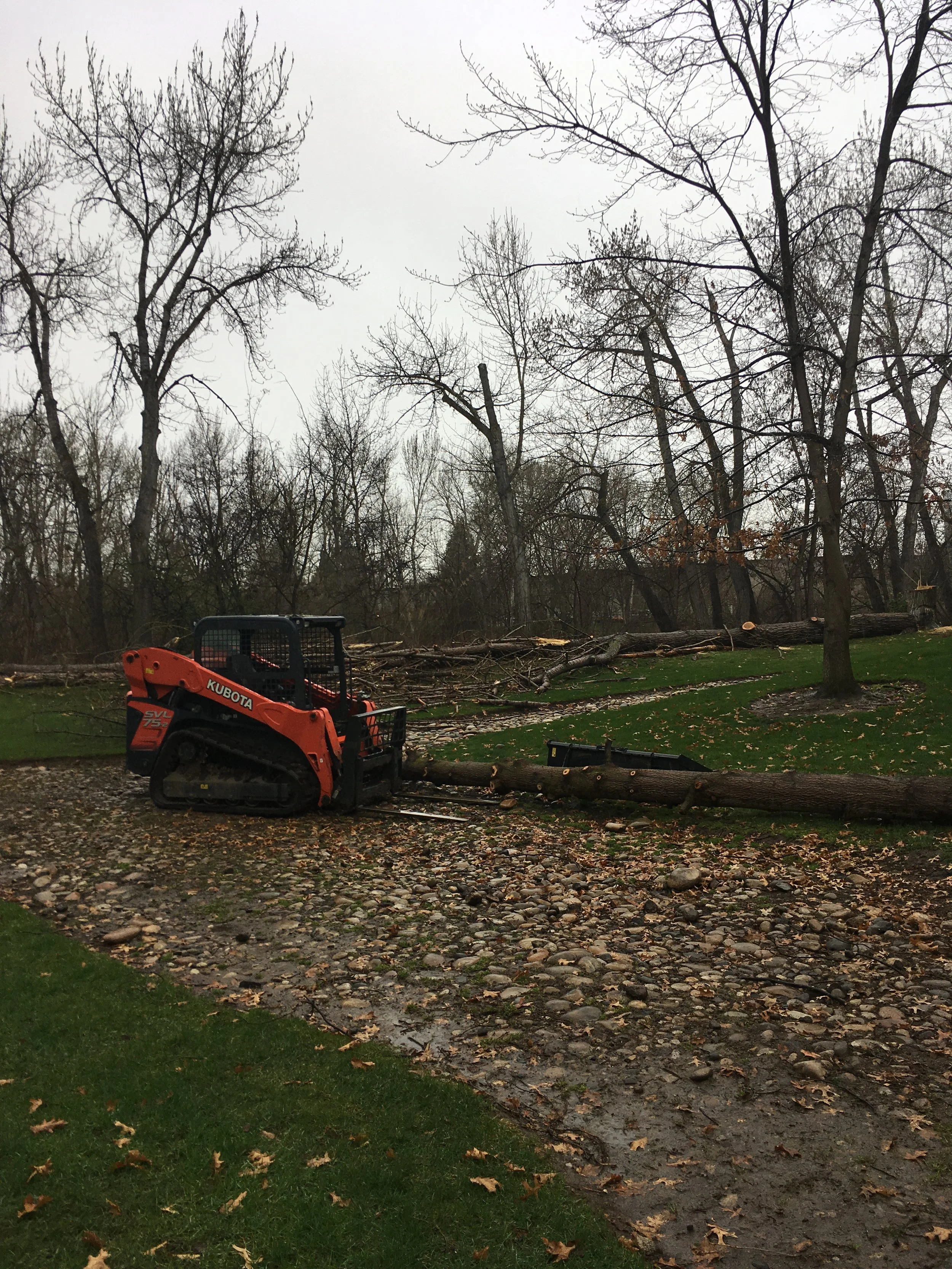 2019-04-06 10.43.20.jpg