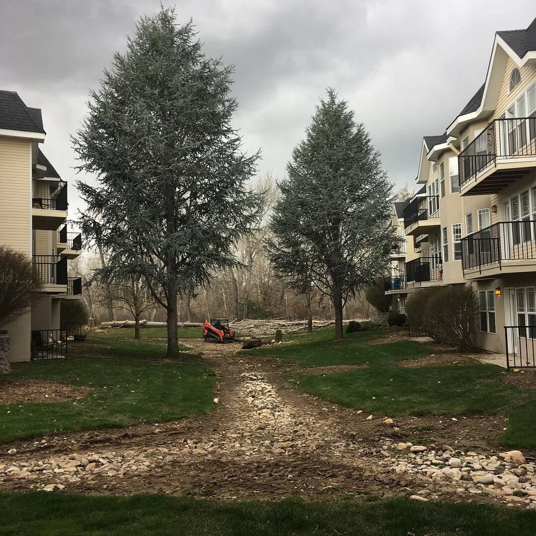 2019-04-05 18.58.28.jpg