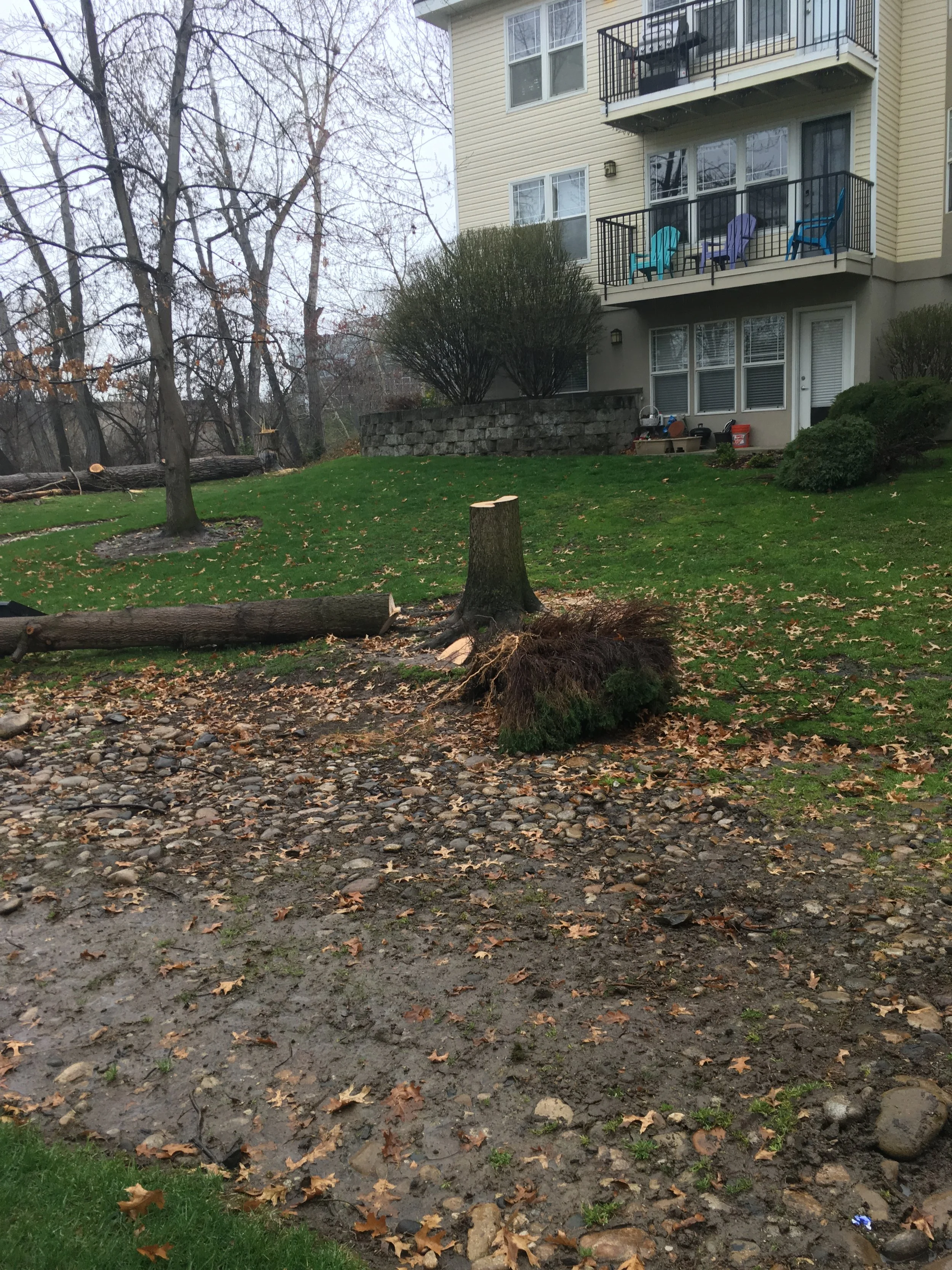 2019-04-06 10.43.25 HDR.jpg