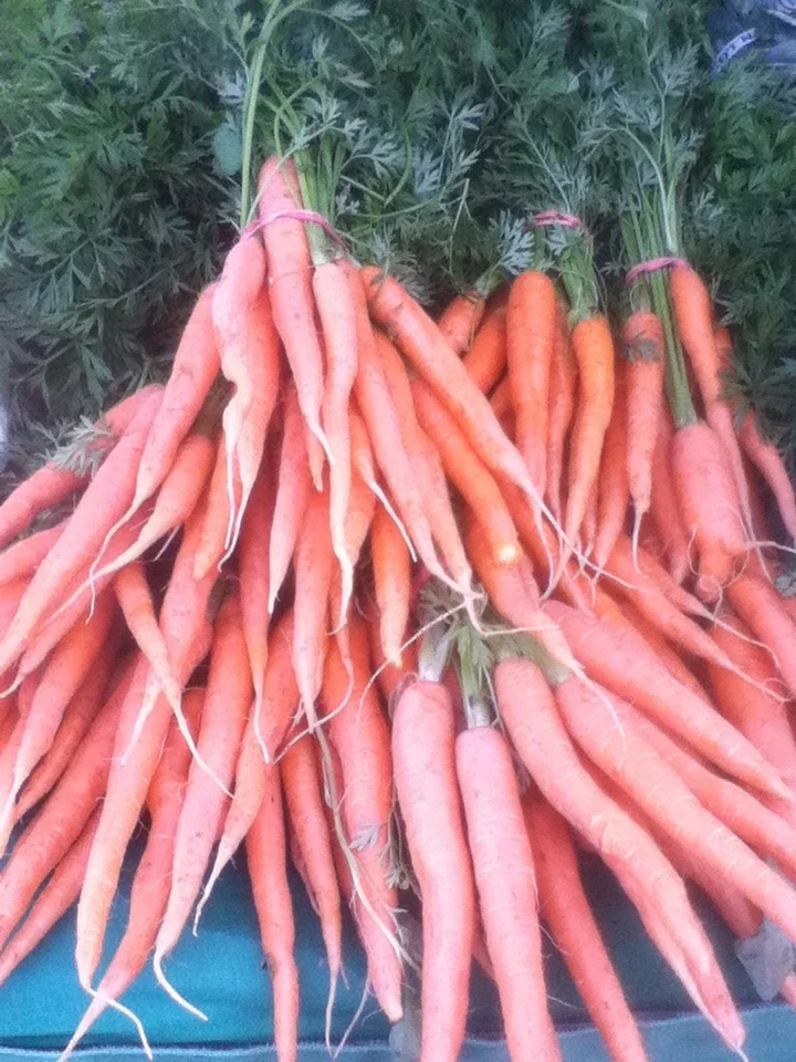 Carrots