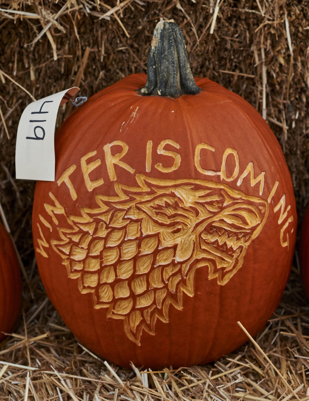 Penn State Pumpkin Festival Outwriter Books Travel penn-state-pumpkin-festival-outwriter-books-travel