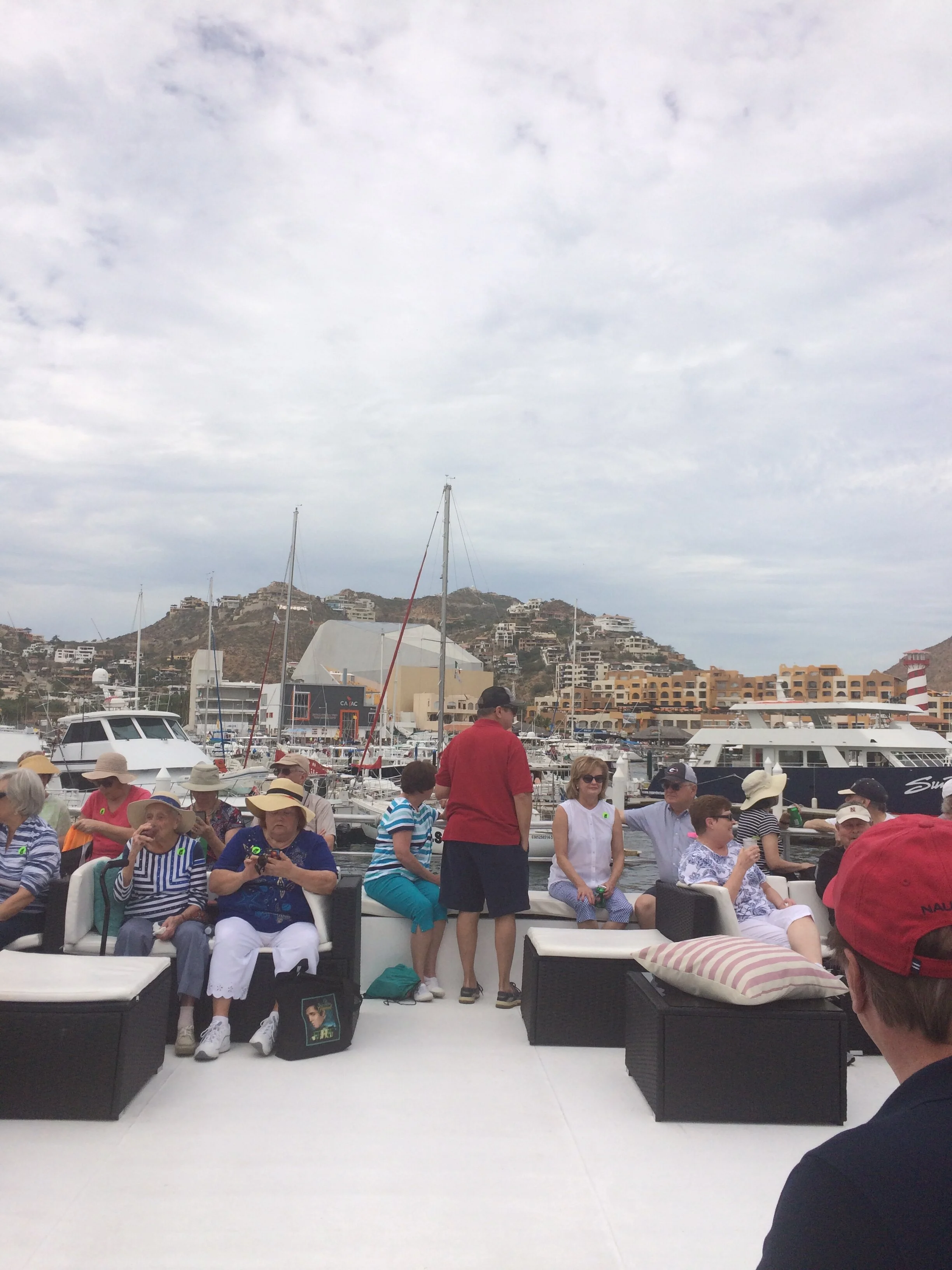 Whale Watching Excursion