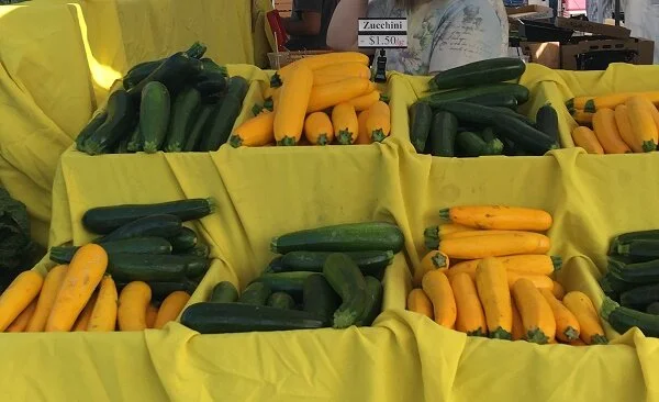 fmzucchini.jpg