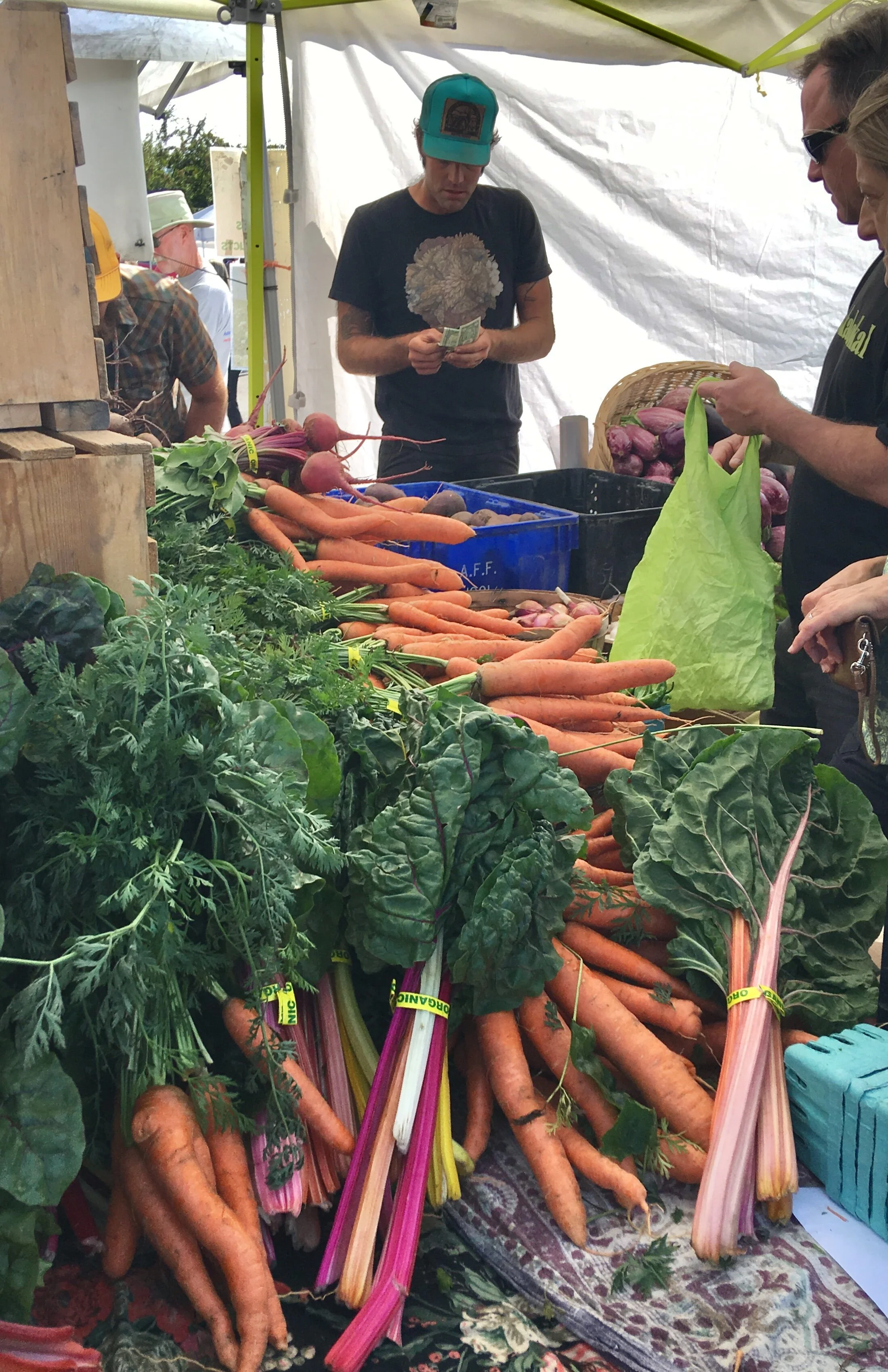 fmcarrot.jpg