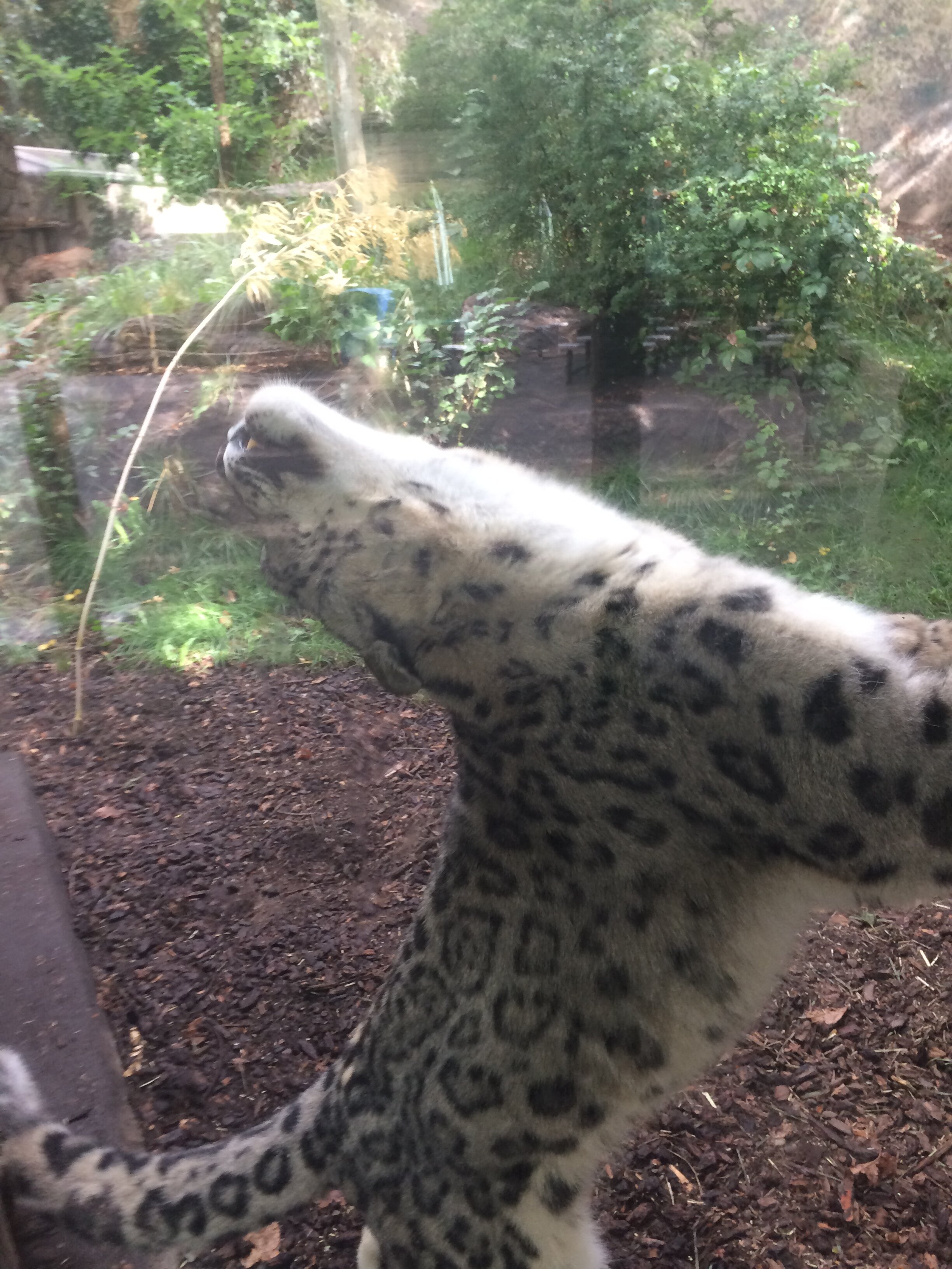 2017-09-21 11.14.21.jpg