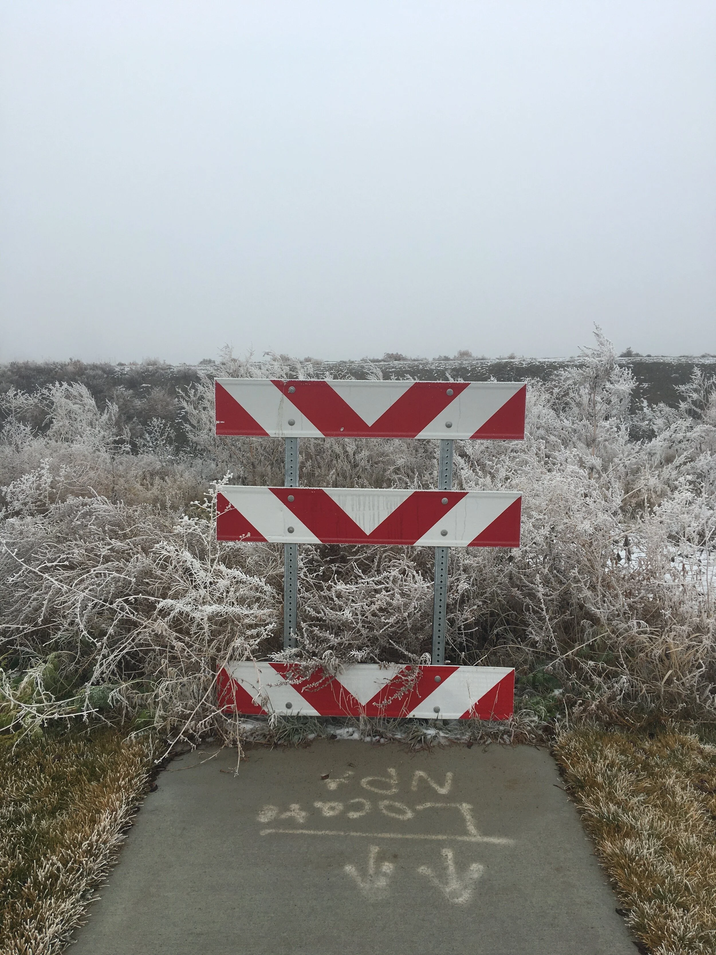 2020-12-27 14.48.20.jpg