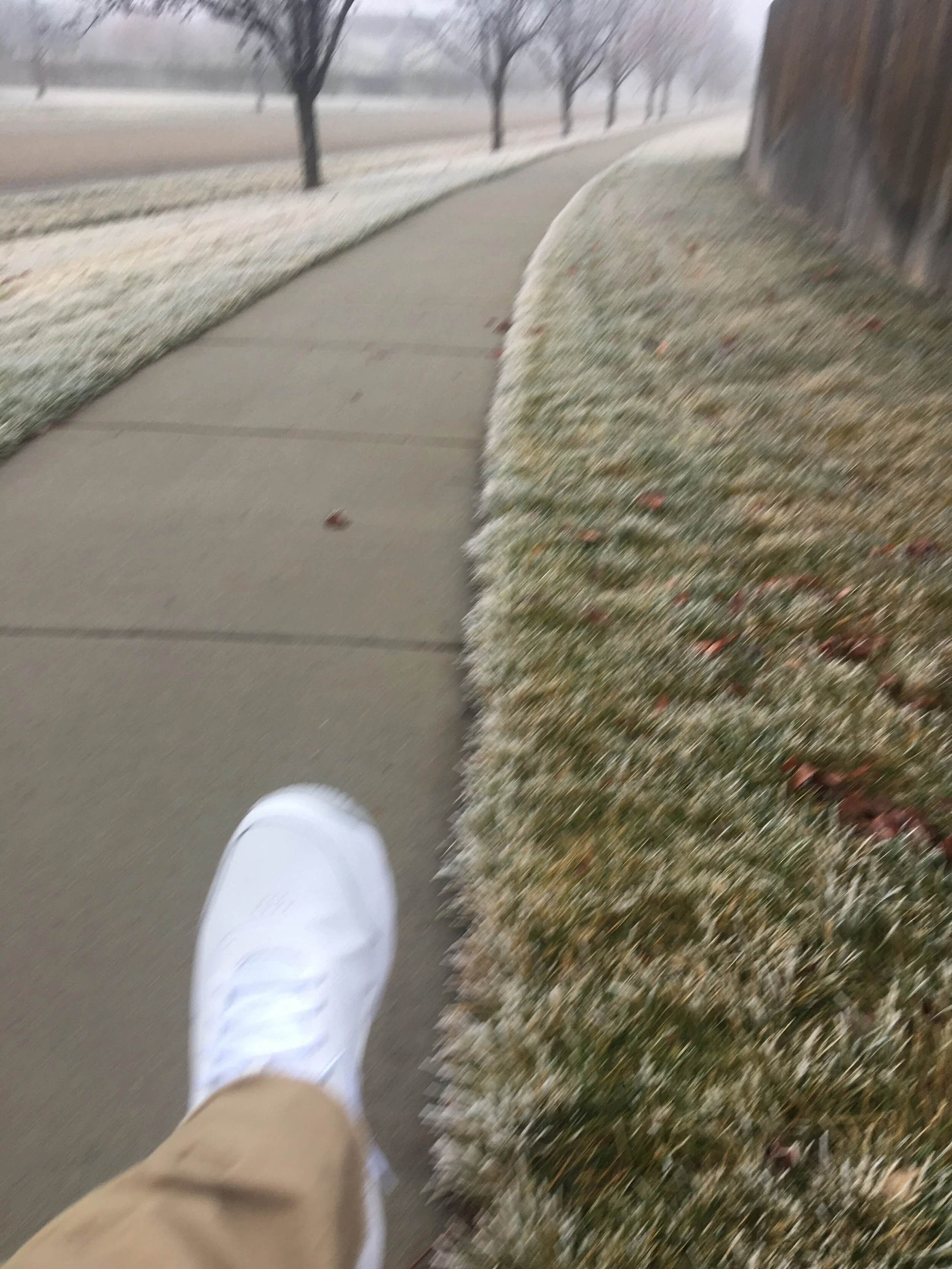 2020-12-27 15.03.30.jpg