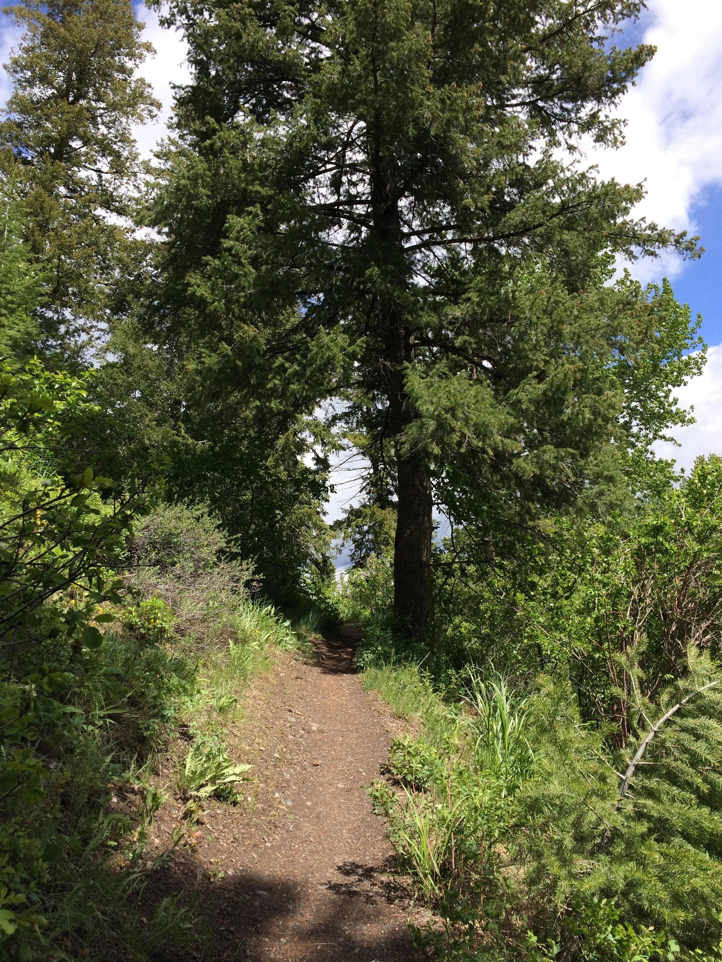 2016-05-22 10.40.14.jpg