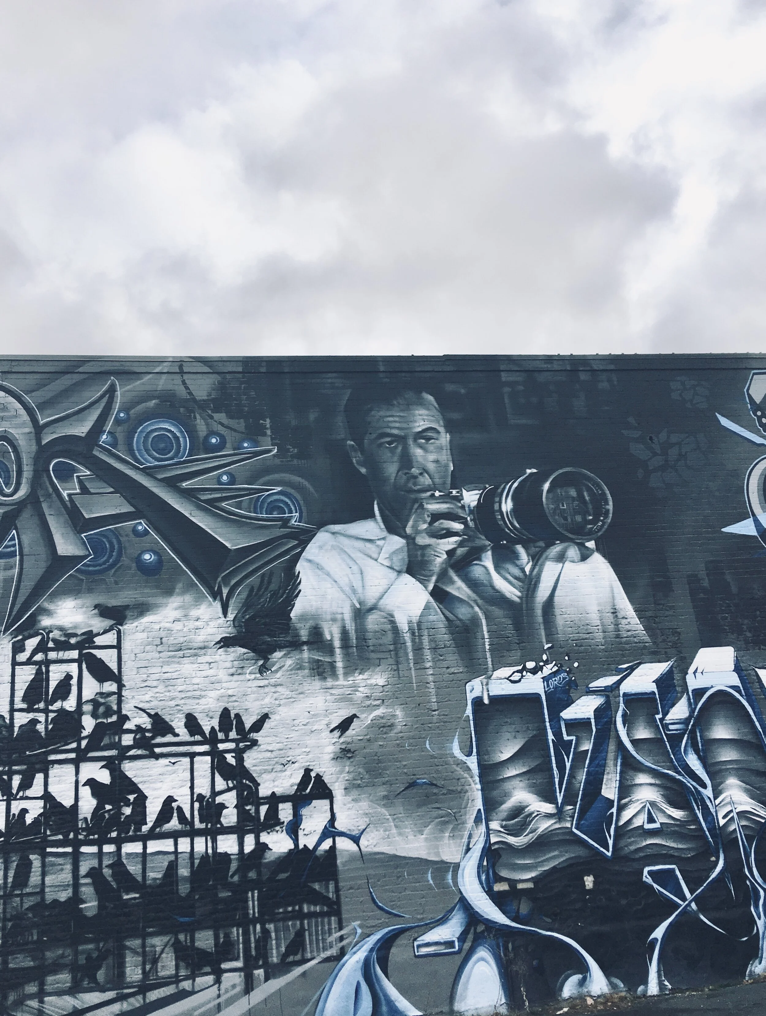 Hitchcock Mural