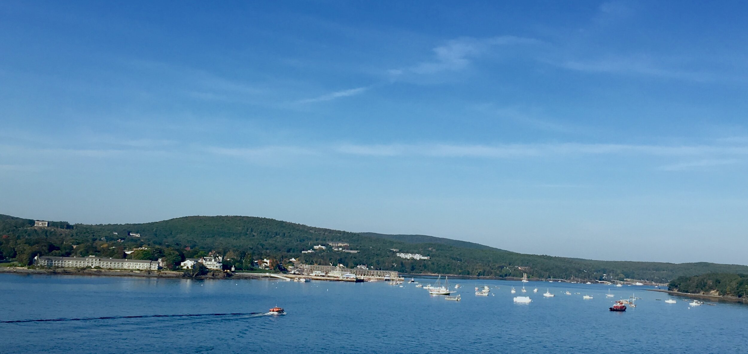 2019-09-22 07.49.31-1.jpg