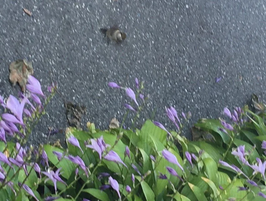 2019-09-22 10.13.35-2.jpg