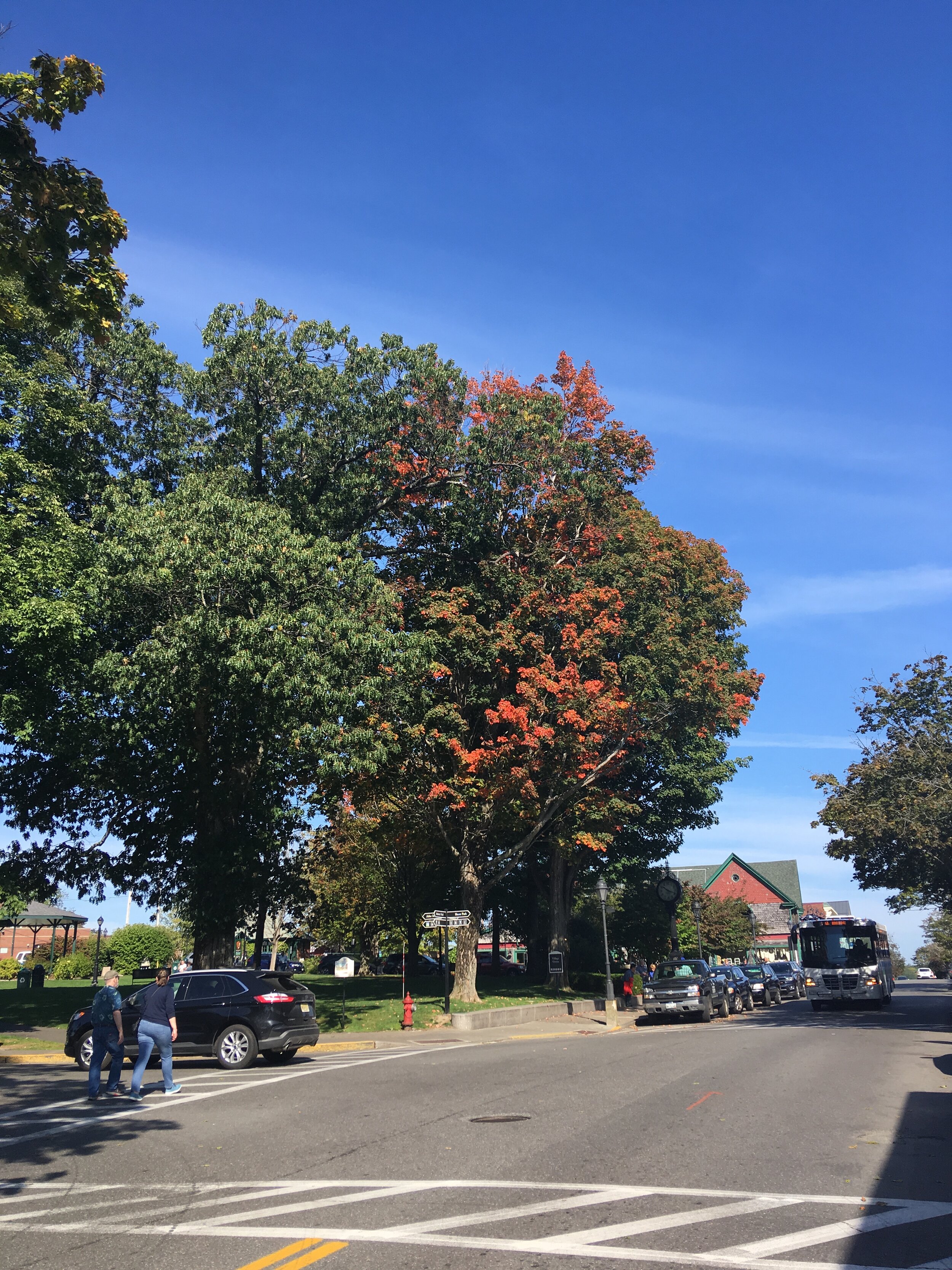 2019-09-22 10.17.54.jpg