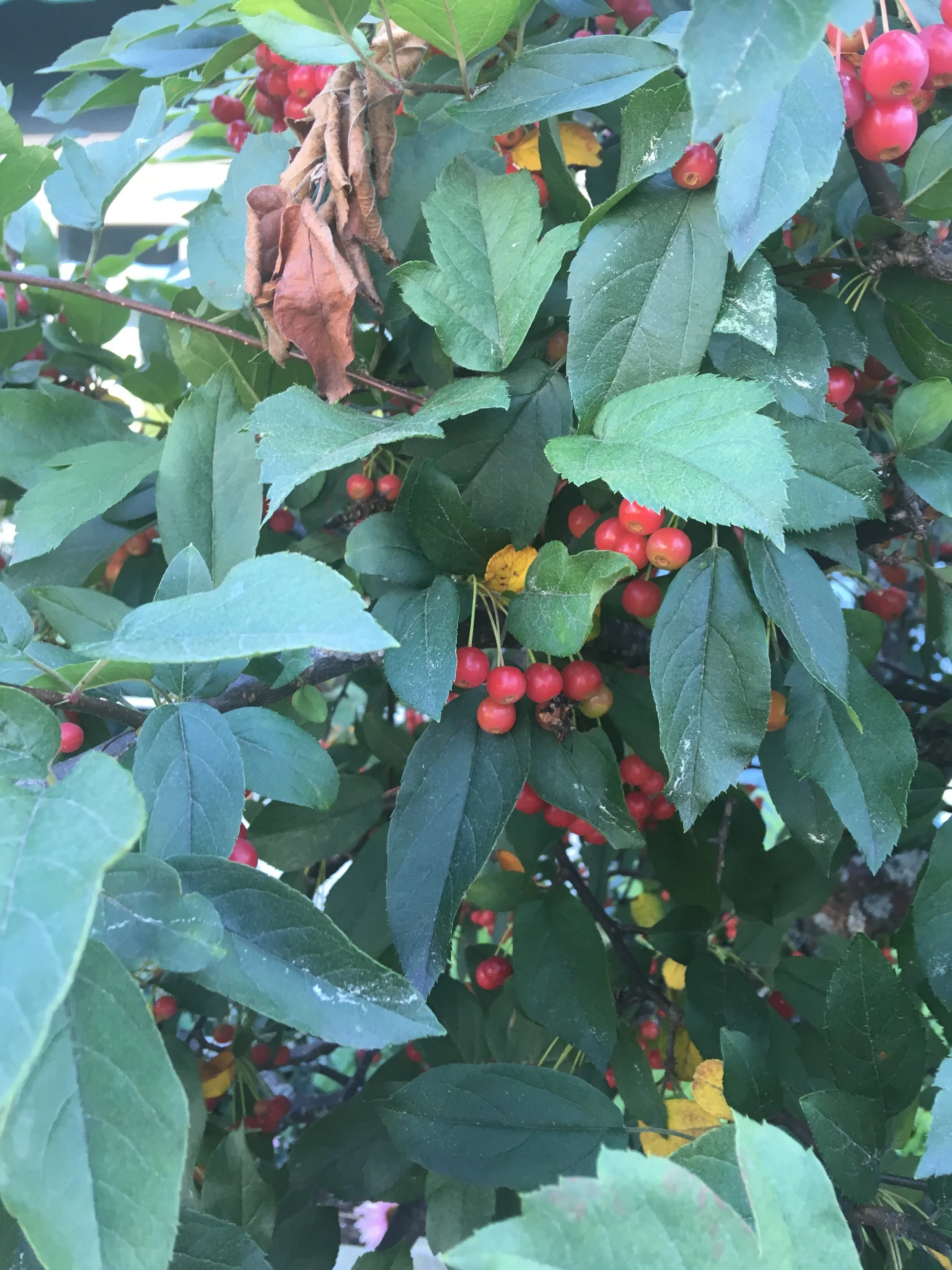 2019-09-22 12.32.55.jpg