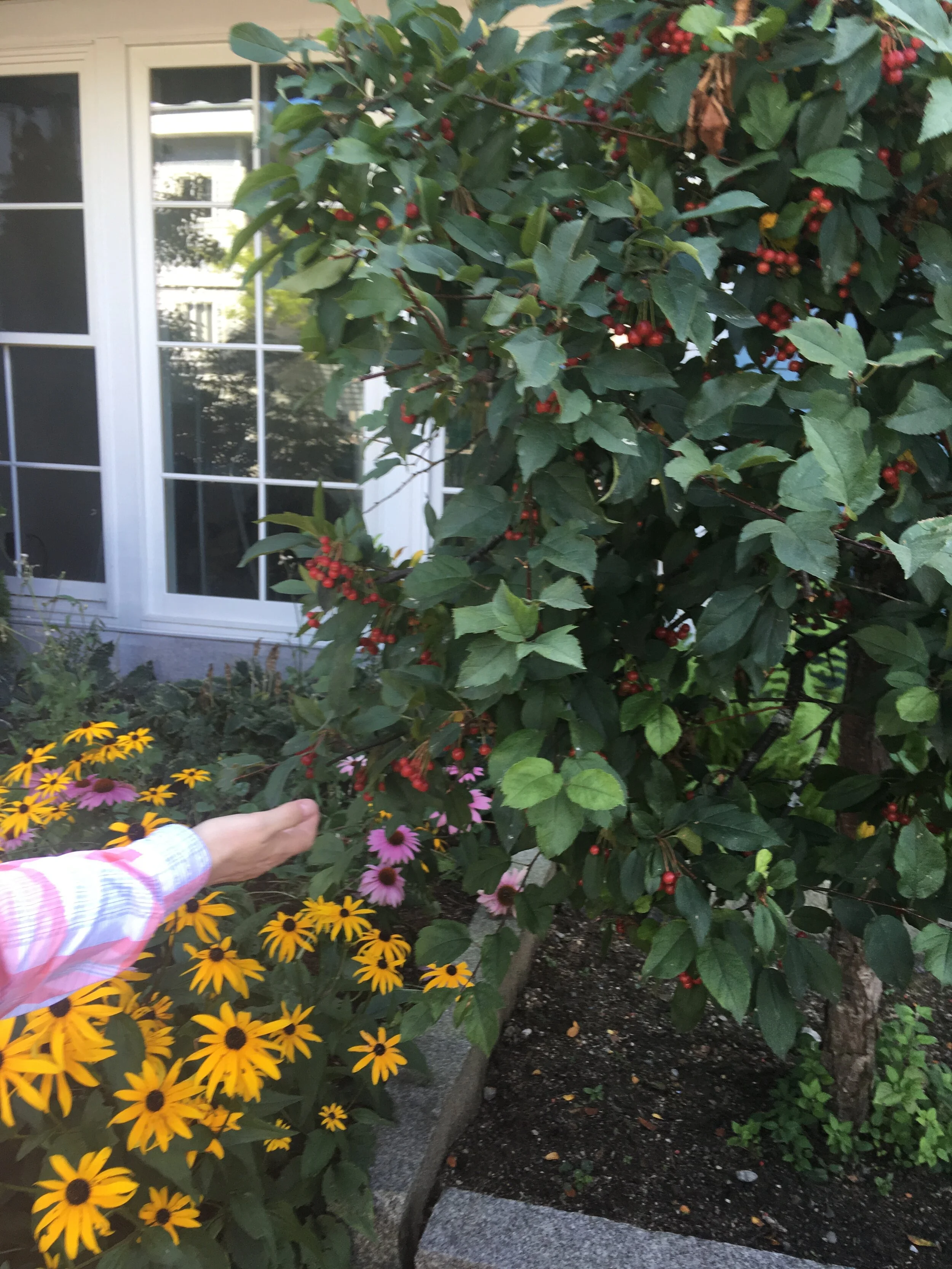 2019-09-22 12.32.59.jpg