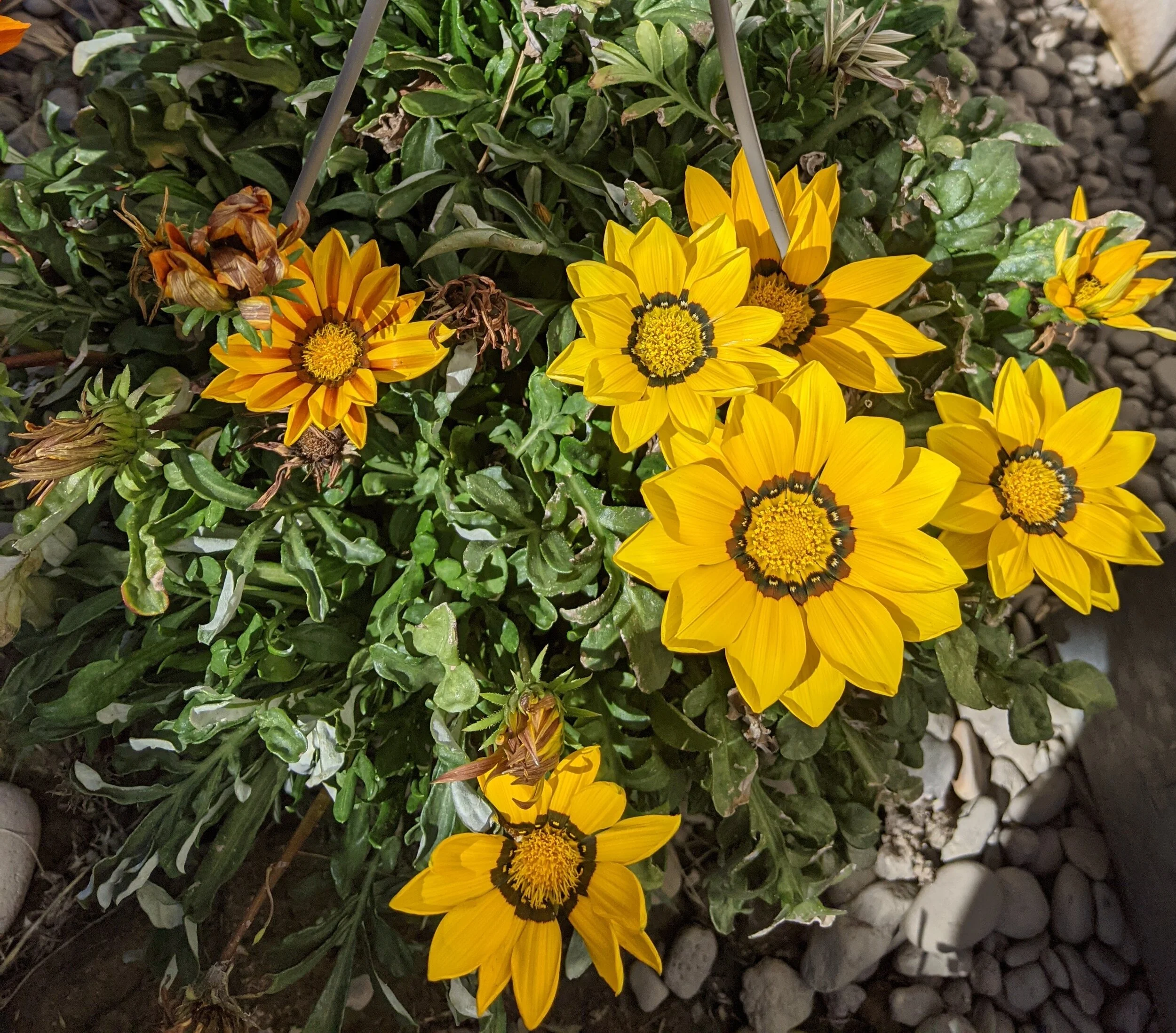 2021-06-23 16.55.37.jpg