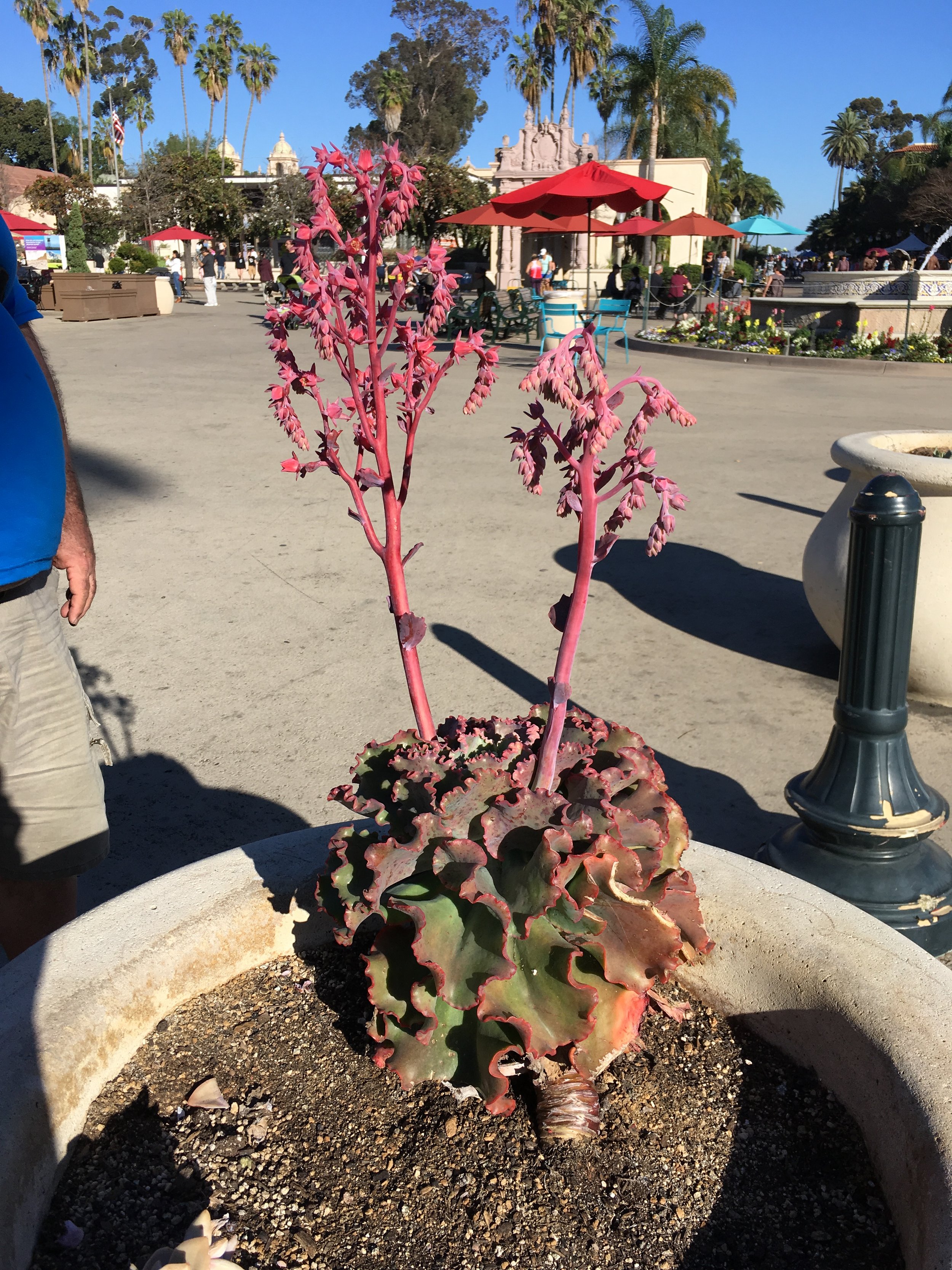 2018-02-03 15.13.41.jpg