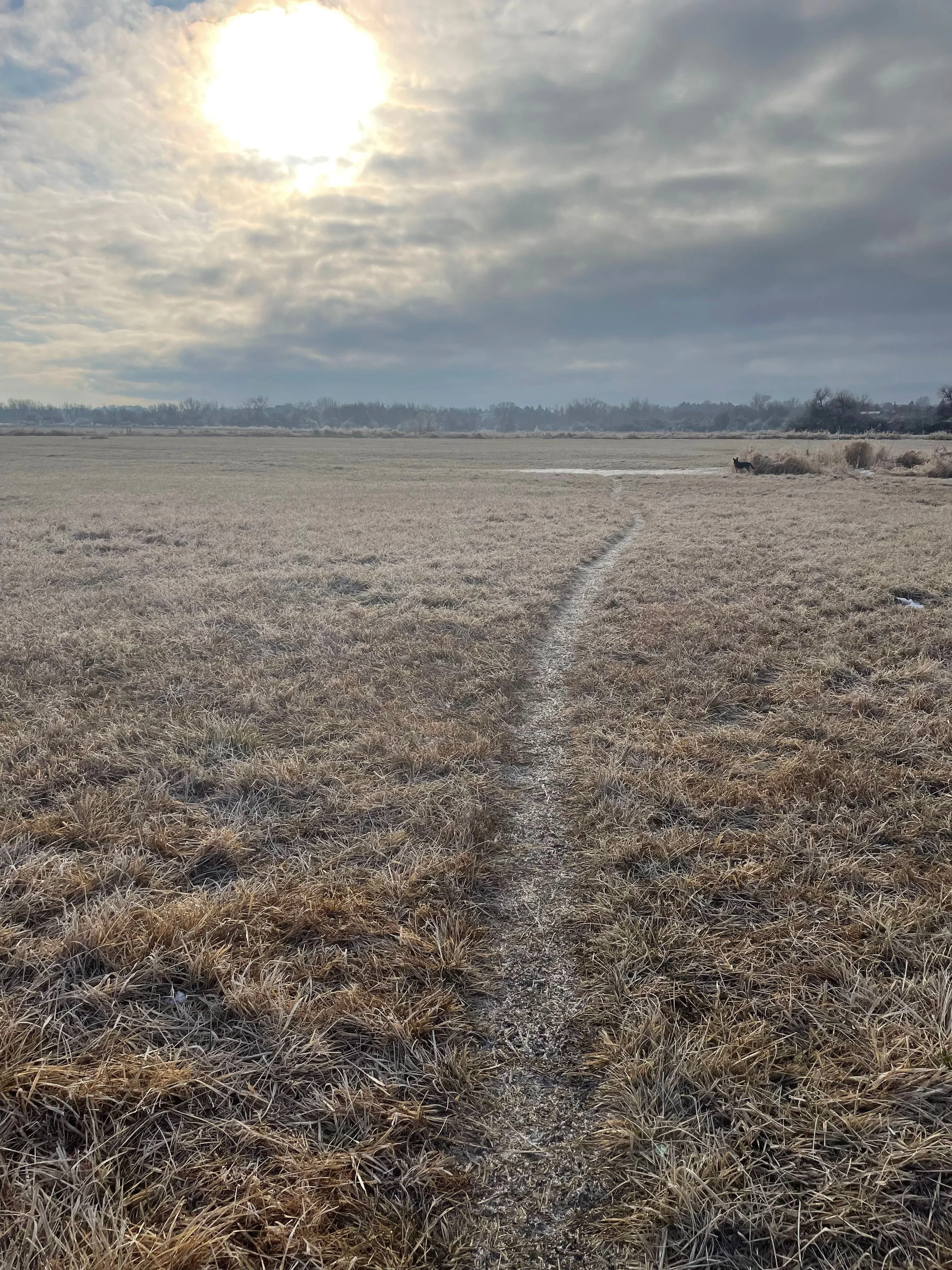 winter sun at Eagle Island.jpeg