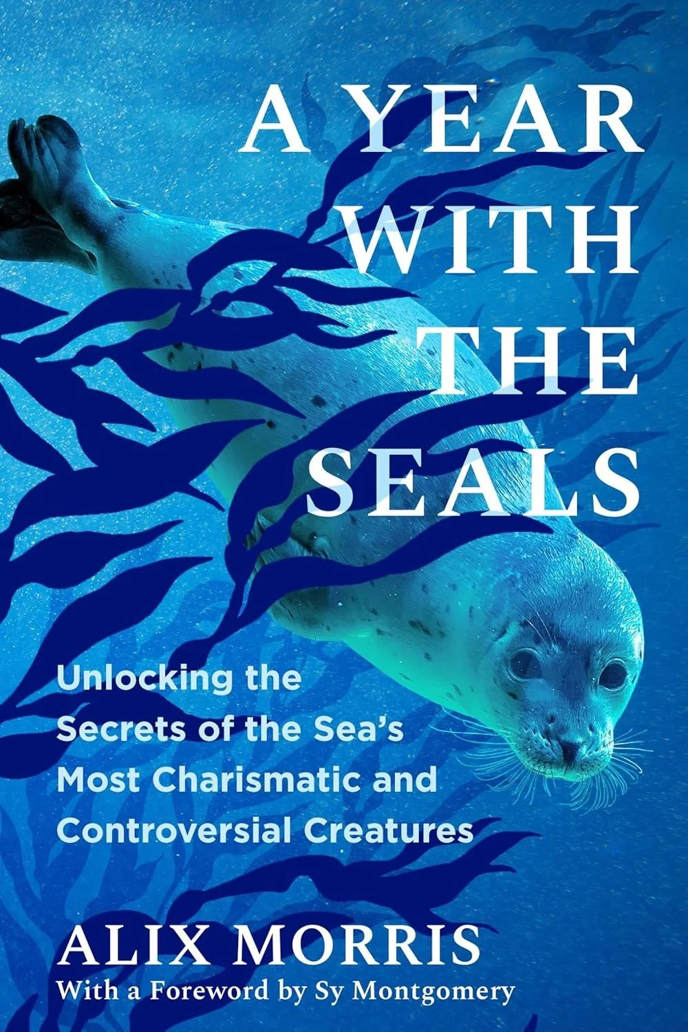 A Year With The Seals