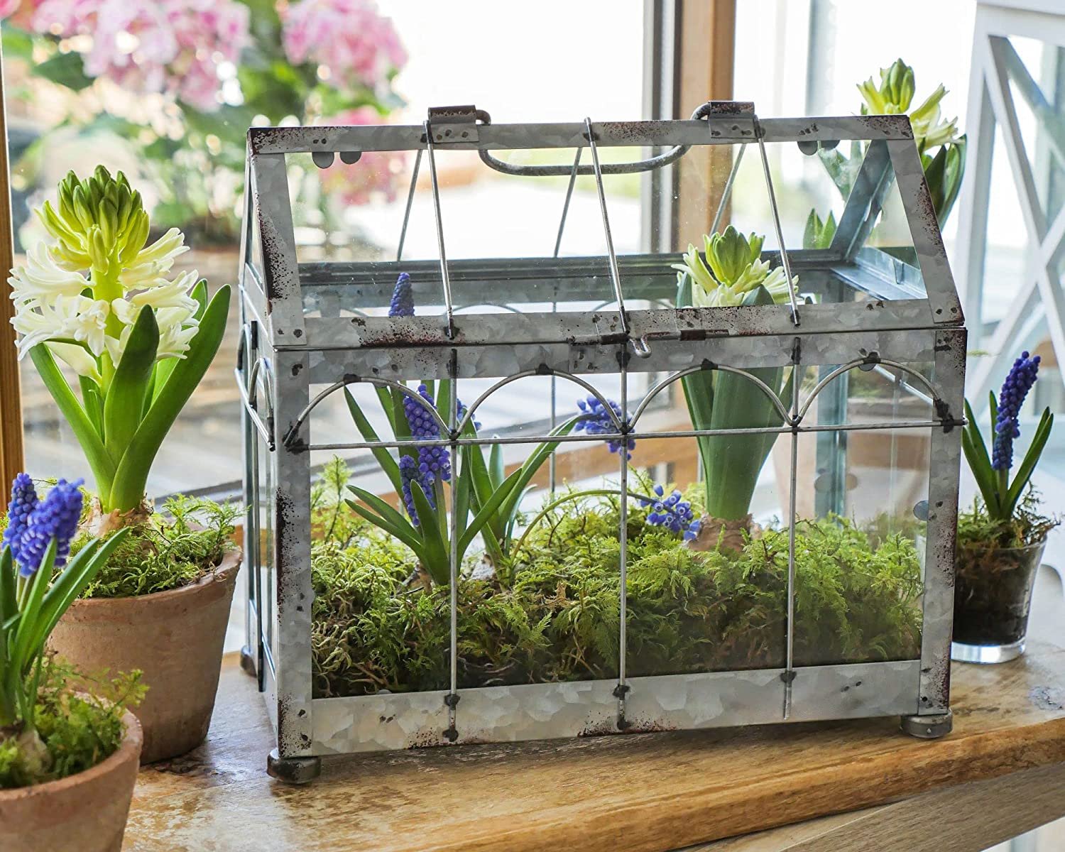 How to Make a Terrarium, Terrarium Ideas, Indoor Home Garden, Indoor  plants