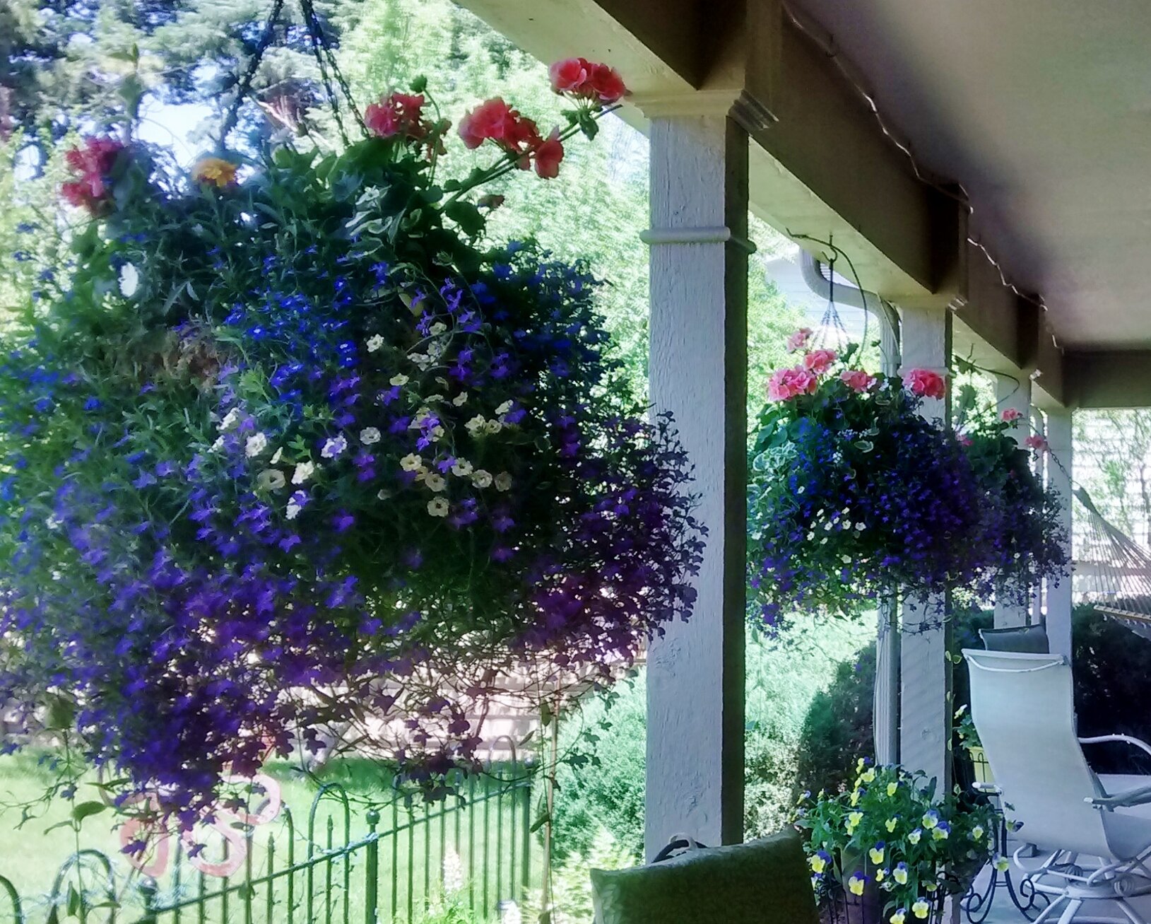 IMG_20160616_142118774_HDR.jpg