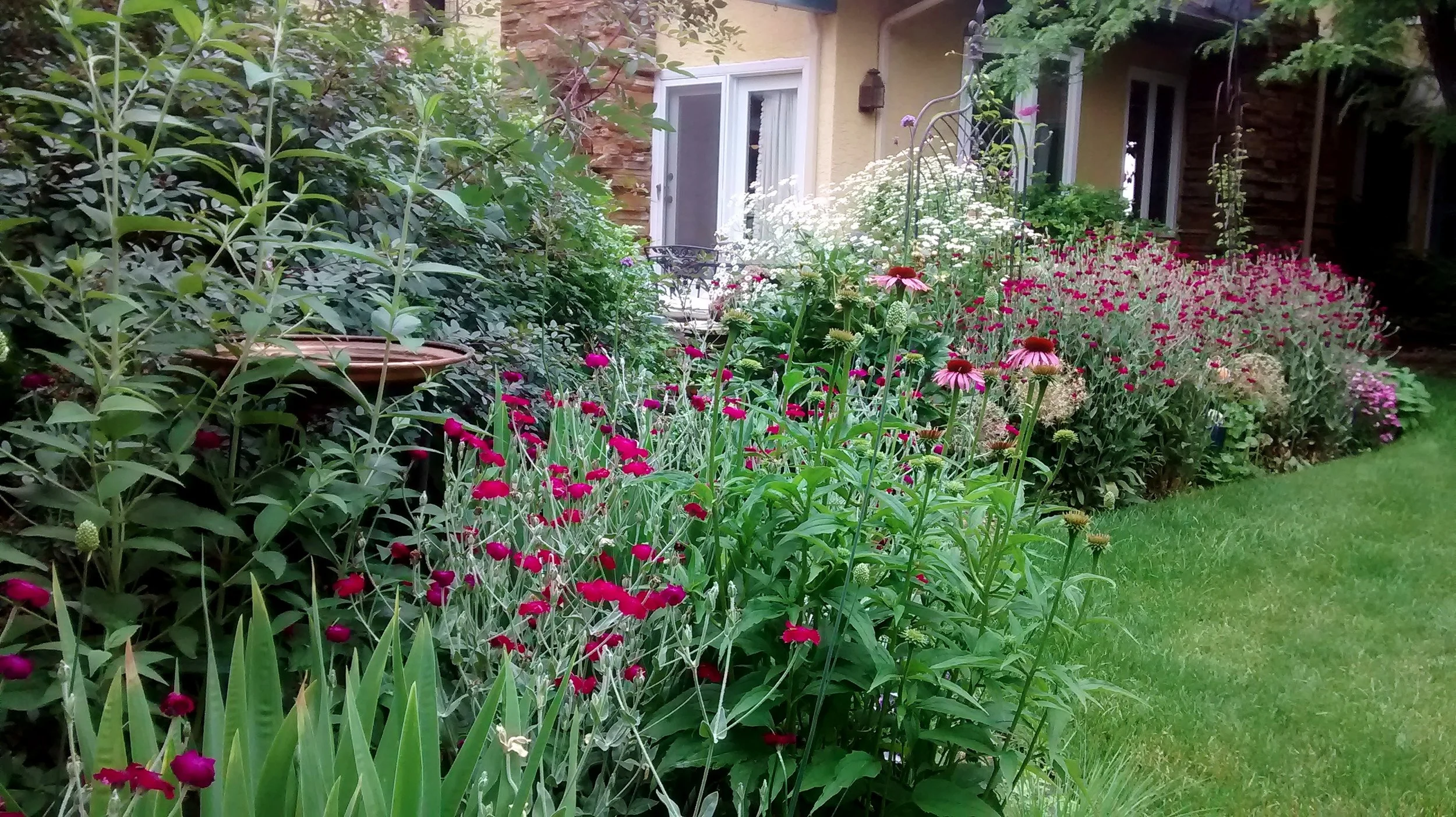 IMG_20150709_094930971.jpg