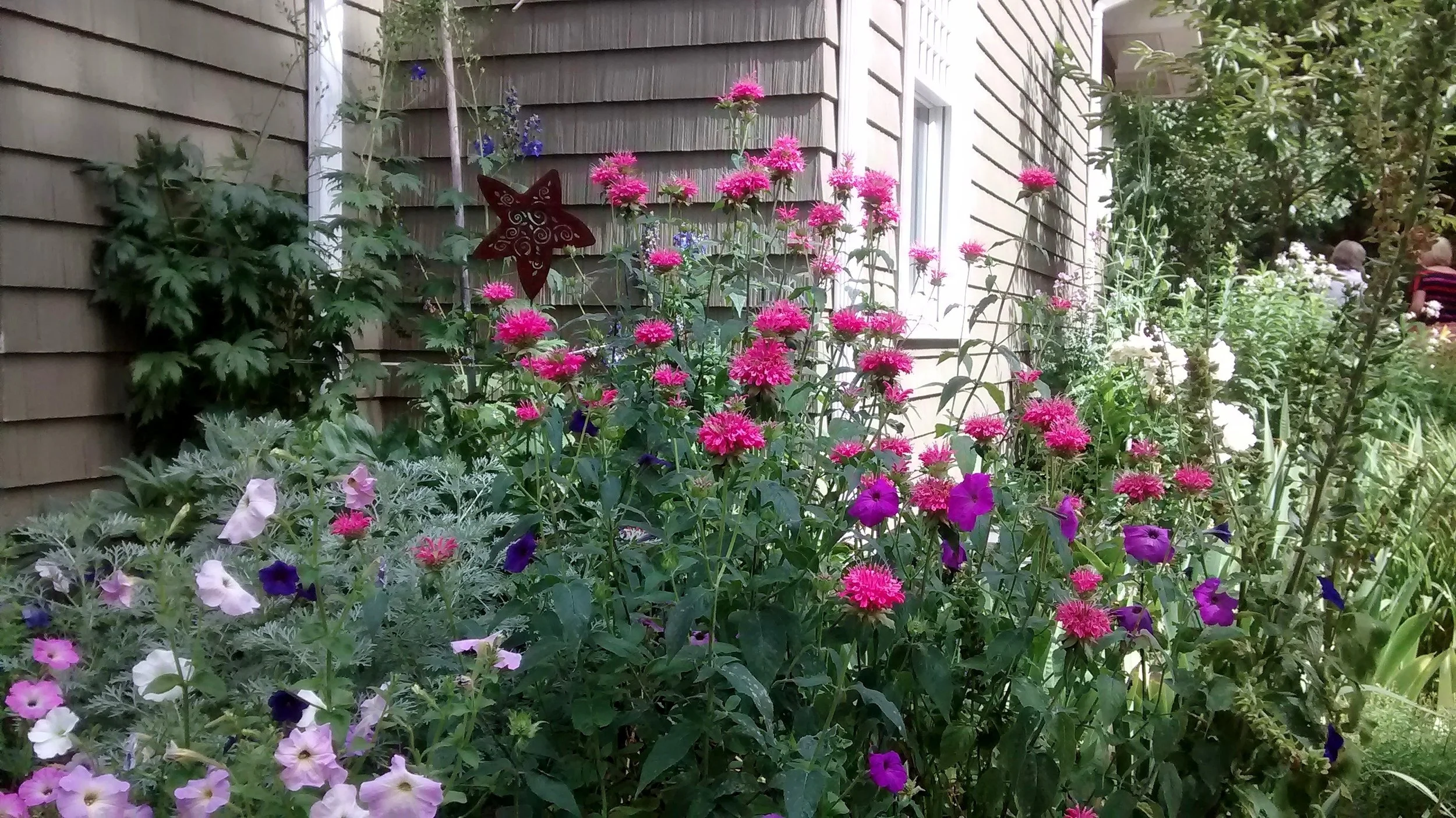 IMG_20150718_095657992.jpg