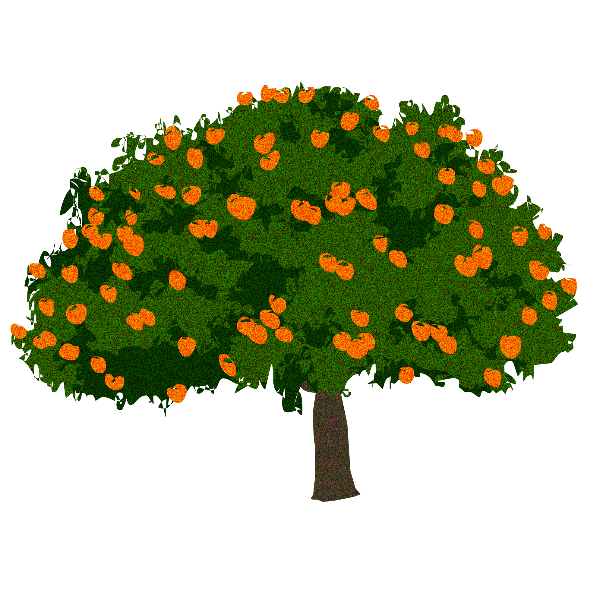 04_orangeTrees_1.png