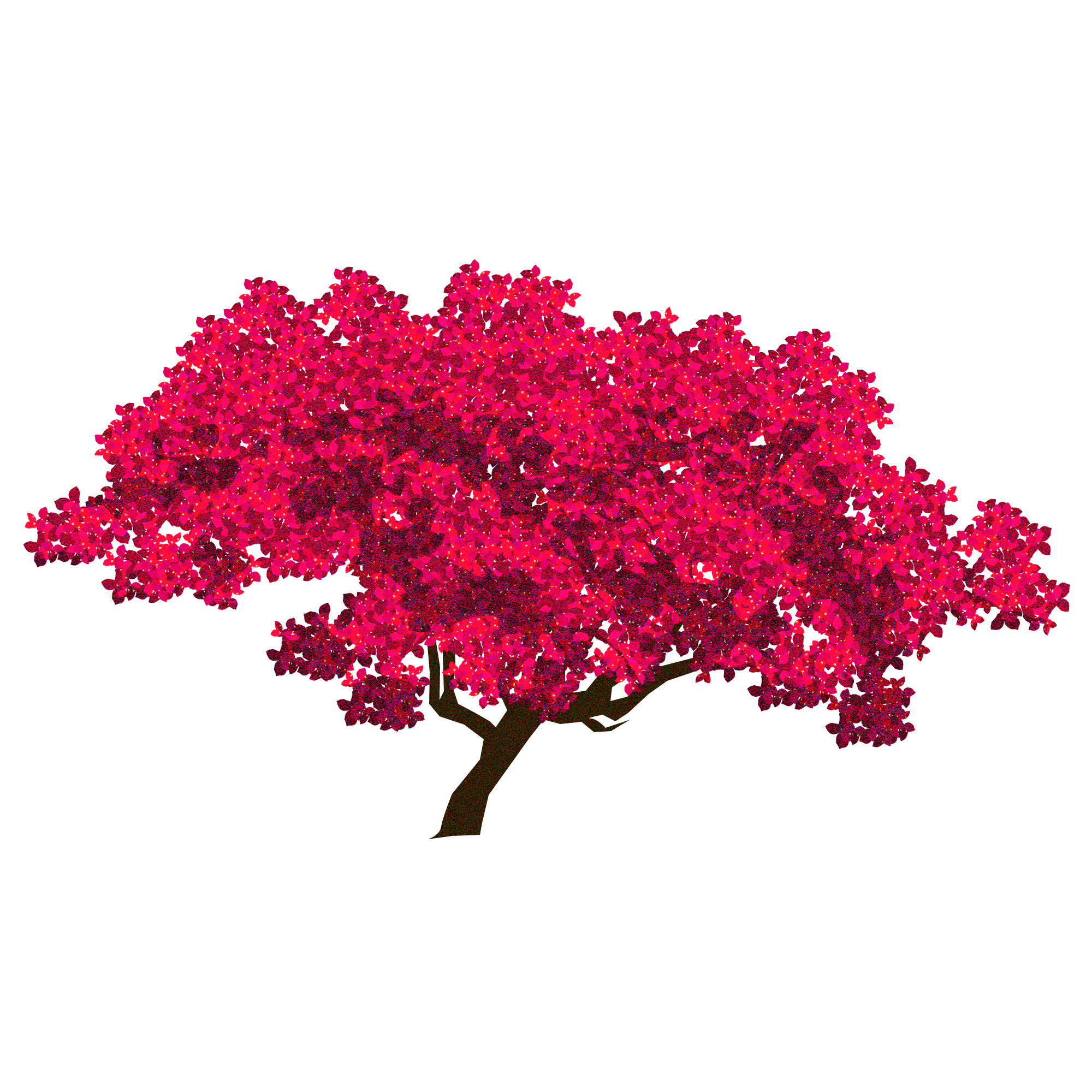 10_Bougainviella_1.png