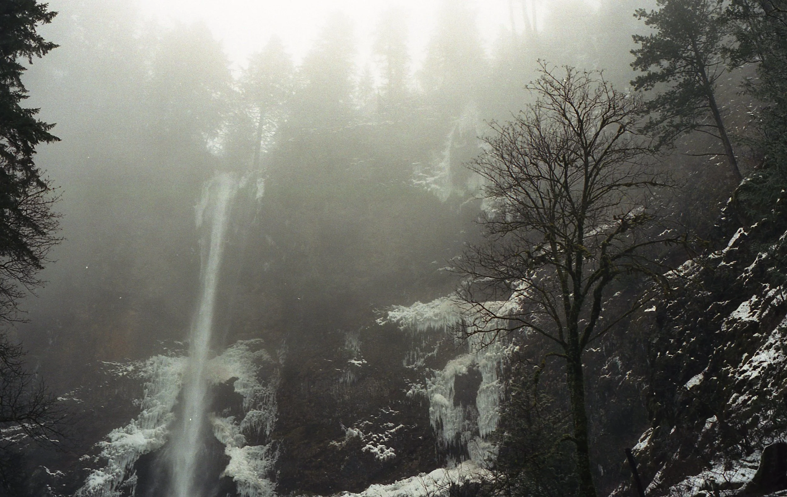   Falling, Columbia River Gorge   