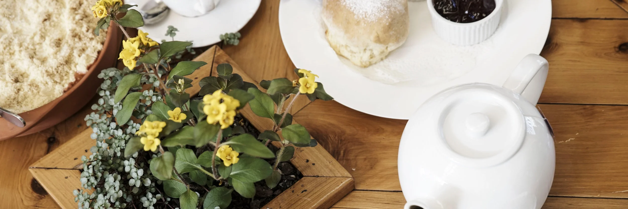 Lagoon-Creek-Cafe-and-Function-Room-about-social-enterprise-cafe-menu.jpg