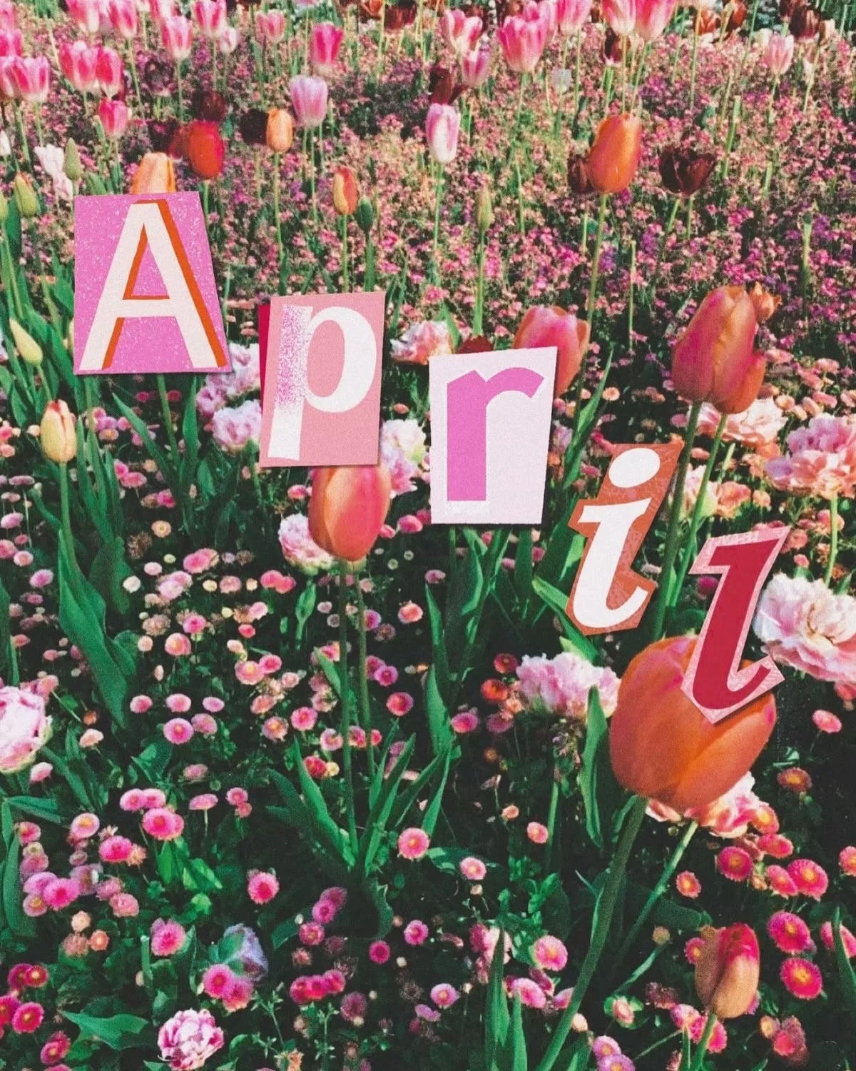 The Part of You You Were Taught to Hide (And How to Welcome It Home)