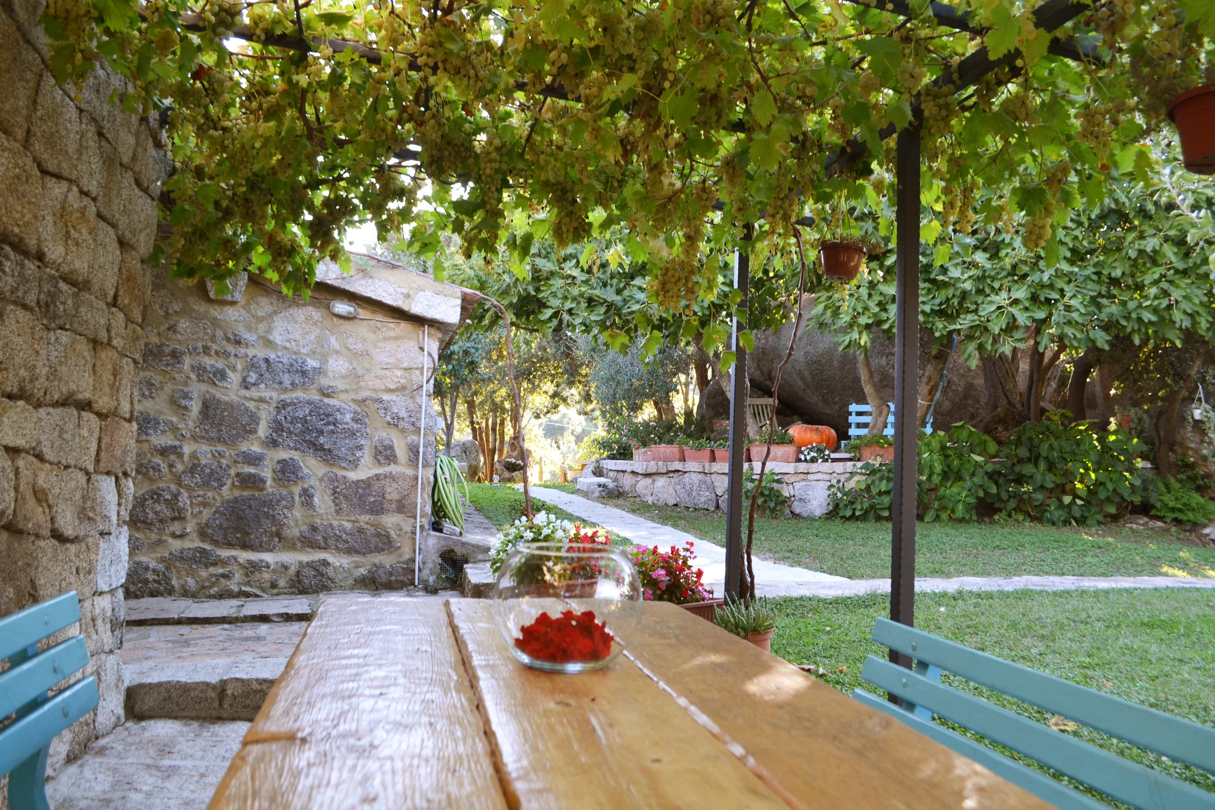 view from guest house patio