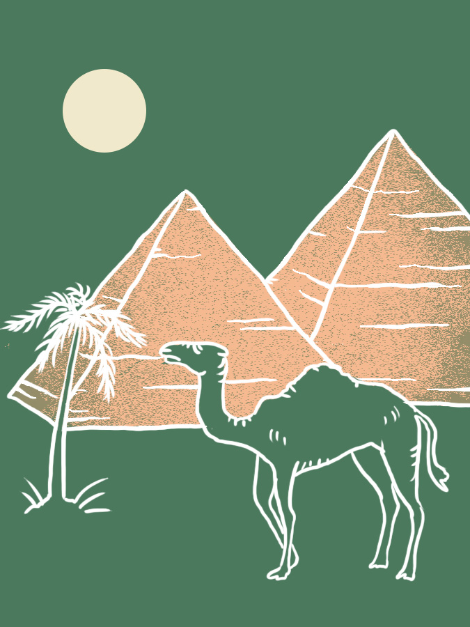 camel 3.jpg