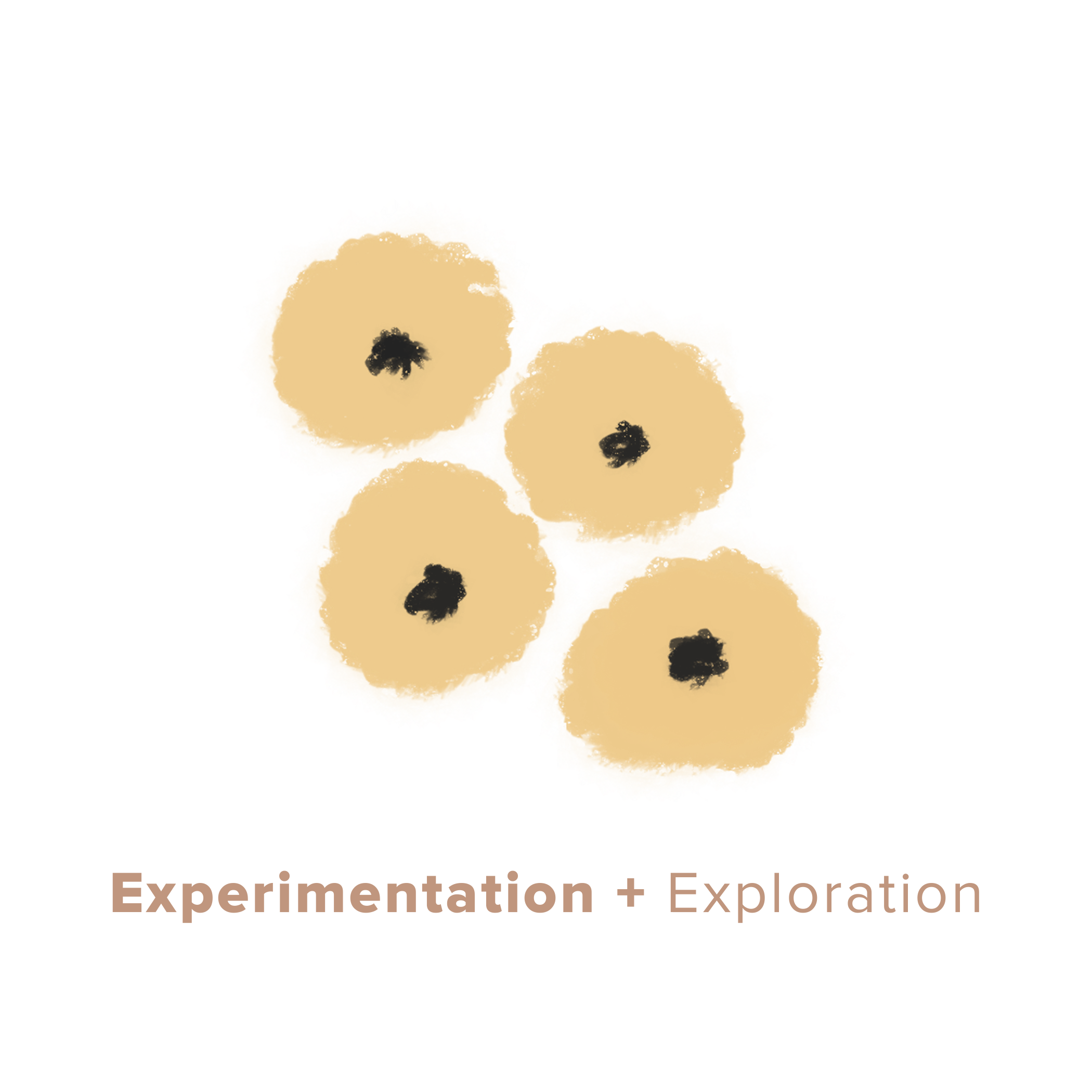 We believe that learning and experience exist for their own sake