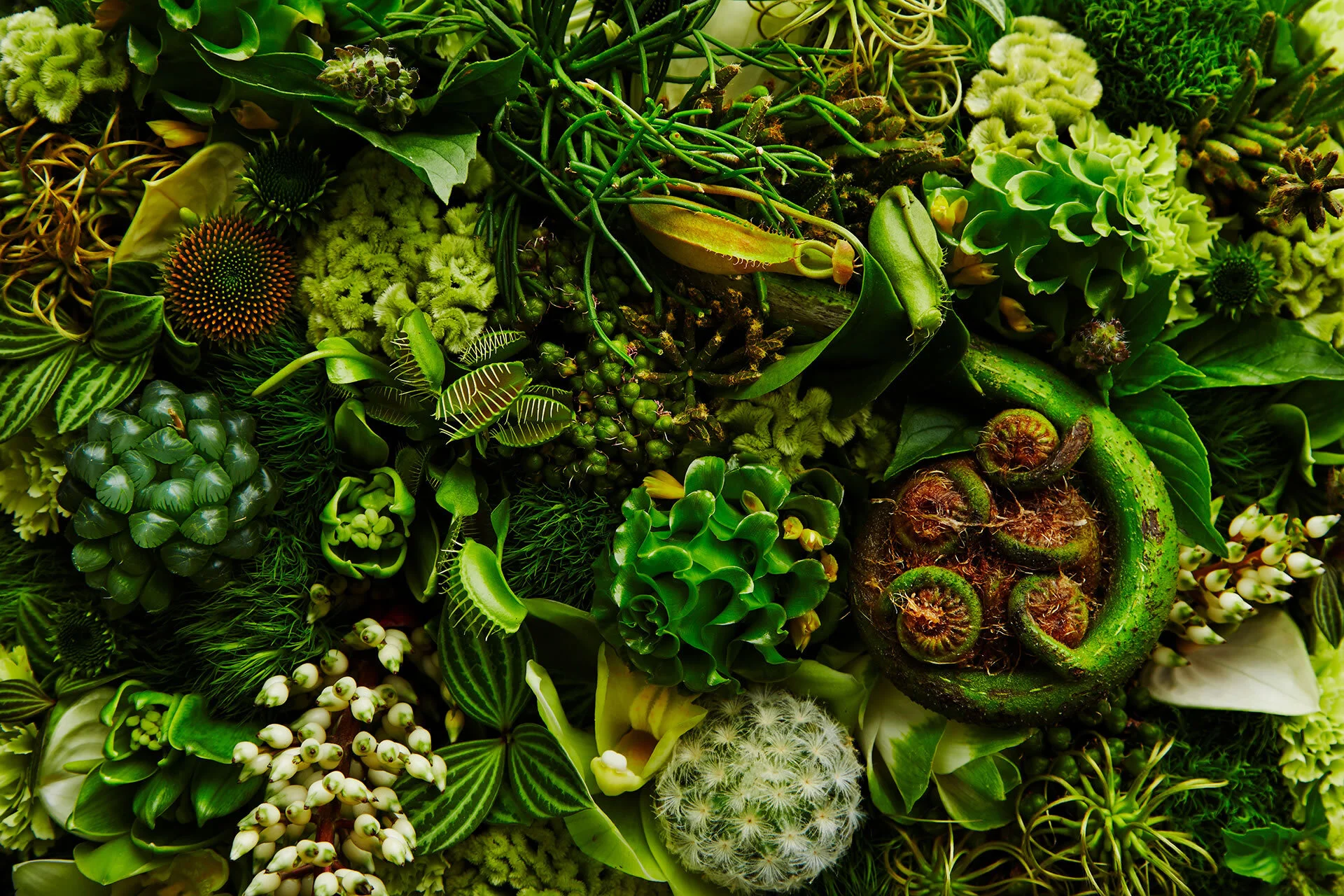 %E5%85%A8%E9%9D%A20201111 copy.jpg