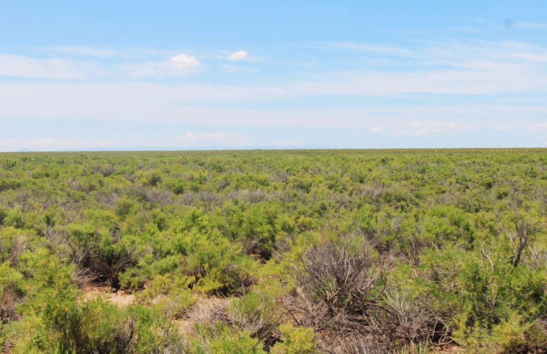4.79 Acres in Costilla County .png