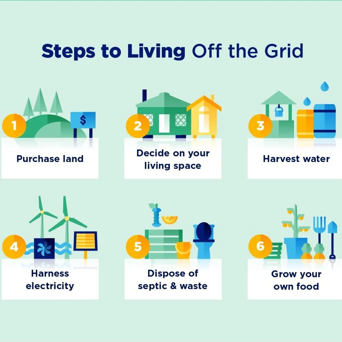 Steps to Living Off-Grid Infographic Organizer
