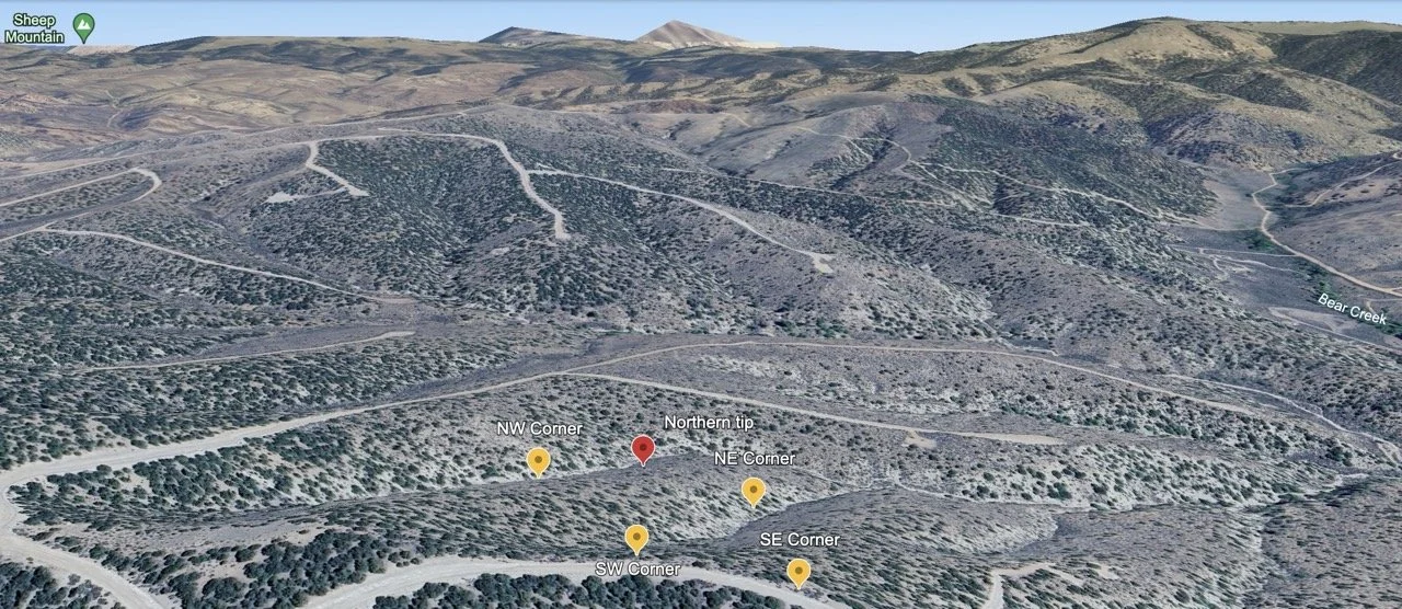 Screenshot 2024-07-22 at 2.22.16 PM Large.jpeg