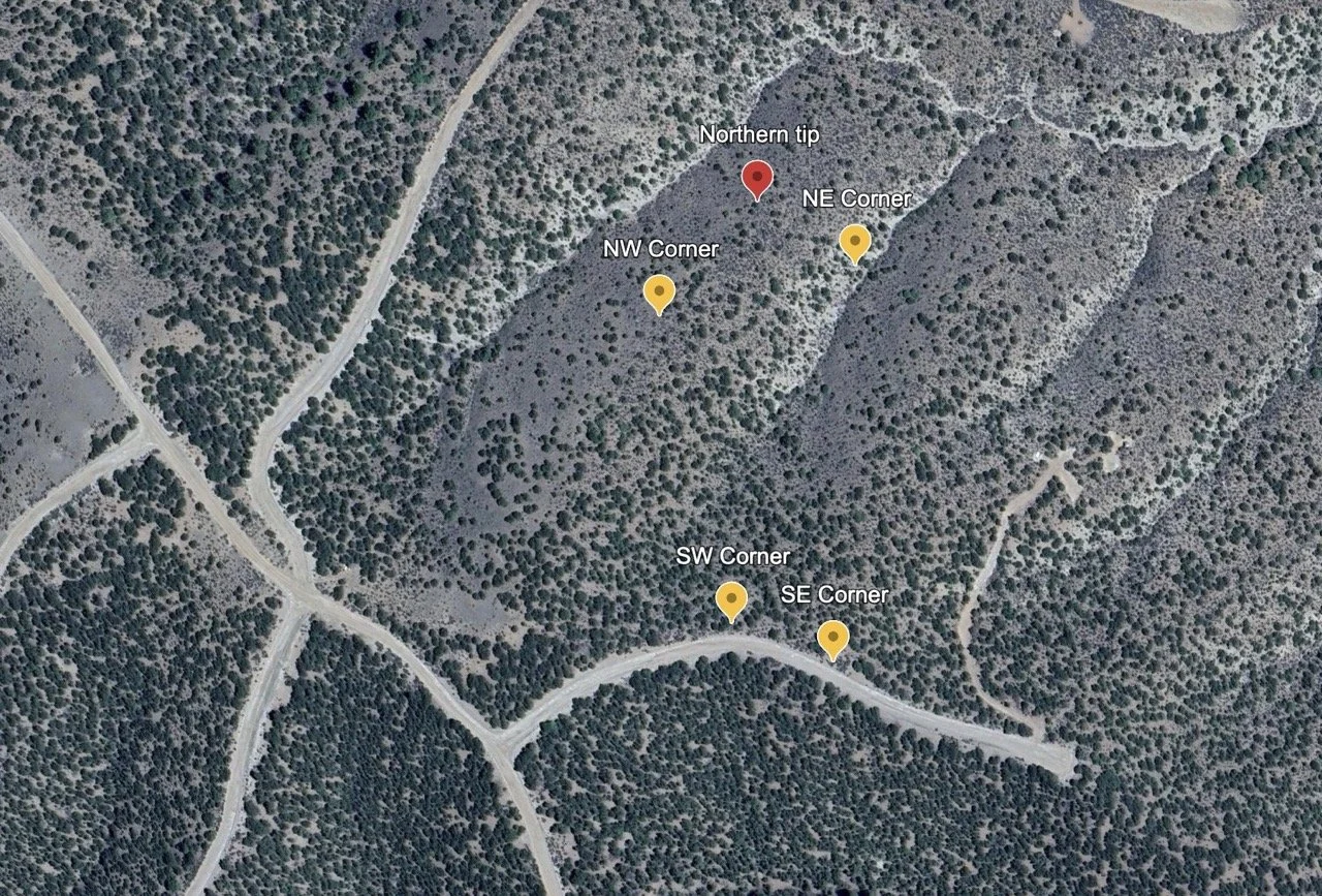 Screenshot 2024-07-22 at 1.59.43 PM Large.jpeg