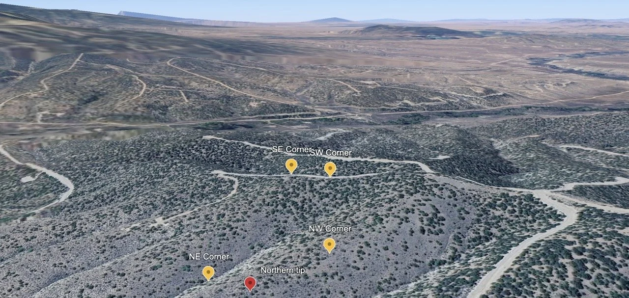 Screenshot 2024-07-22 at 2.24.06 PM Large.jpeg