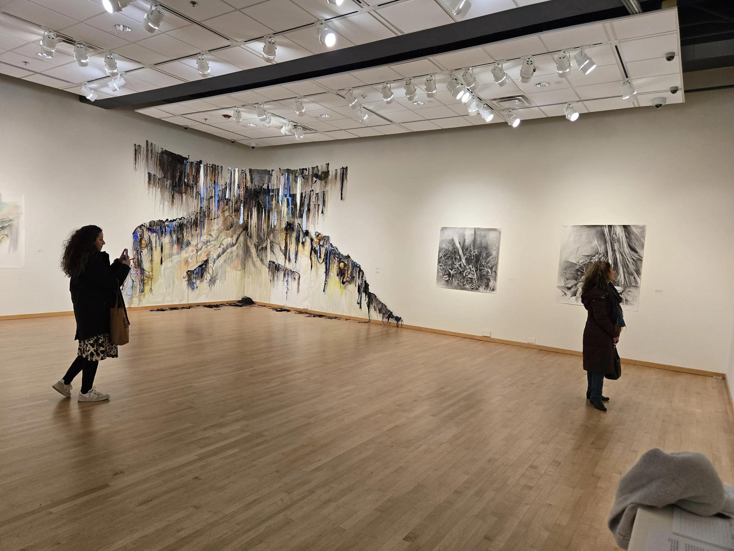 at the foot of a 400 year old Ceiba tree (site specific installation)